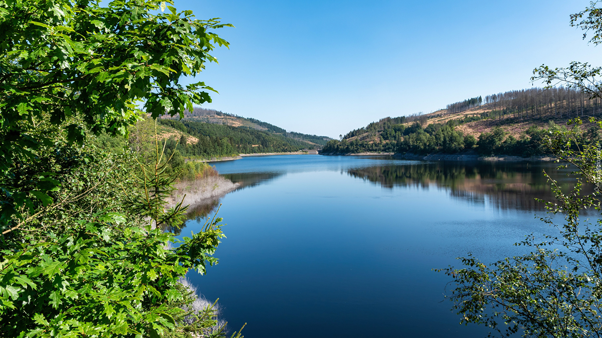 Jezioro, Okerstausee, Wzgórza, Drzewa, Gałęzie, Okertalsperre, Niemcy