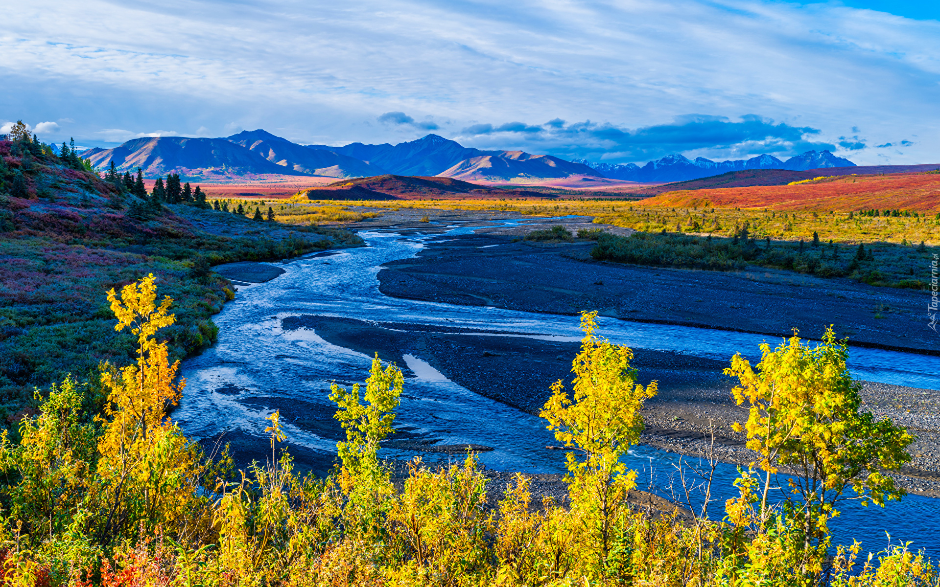 Park Narodowy Denali, Góry, Rzeka, Savage River, Drzewa, Roślinność, Jesień, Niebo, Alaska, Stany Zjednoczone