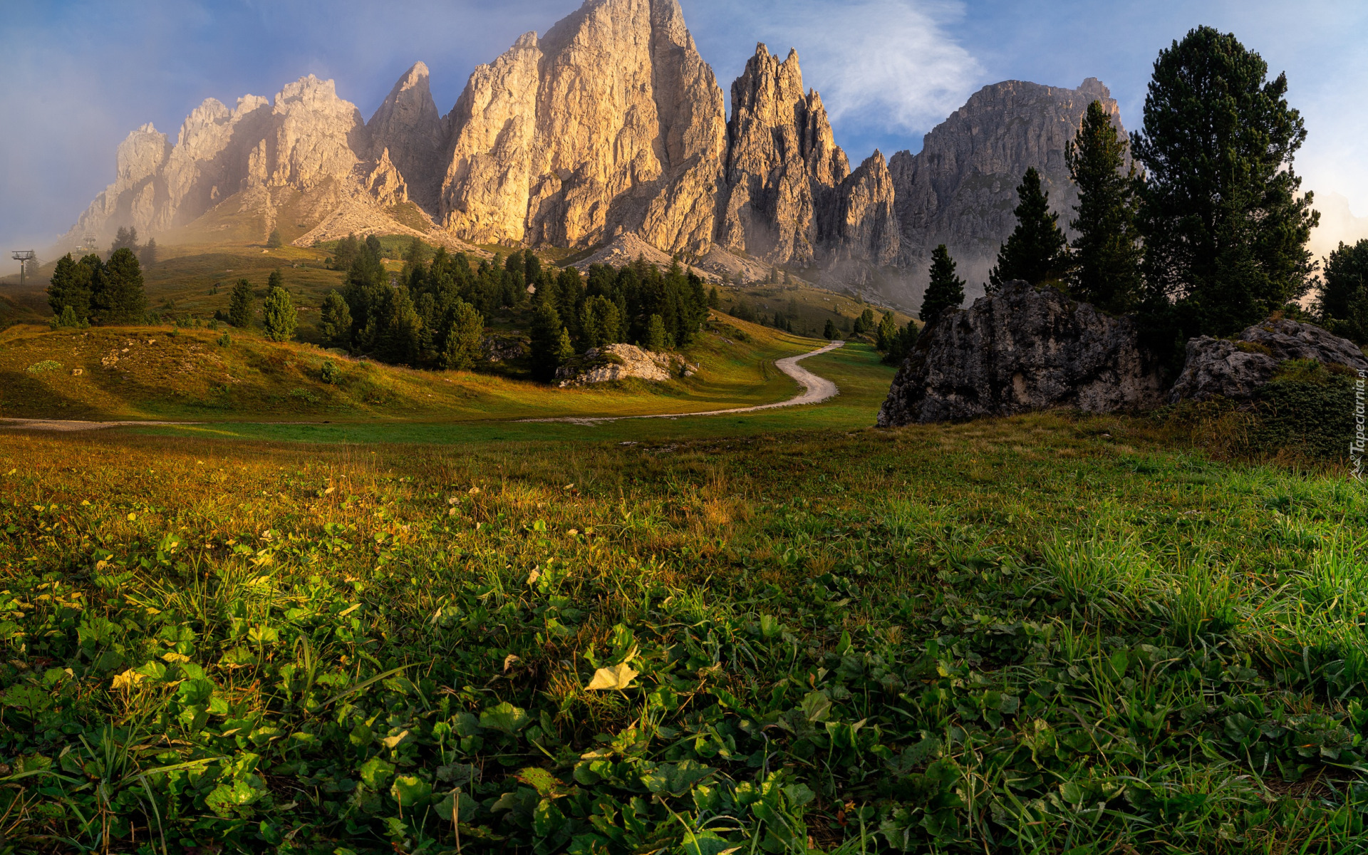 Góry, Dolomity, Mgła, Łąki, Droga, Drzewa, Południowy Tyrol, Włochy