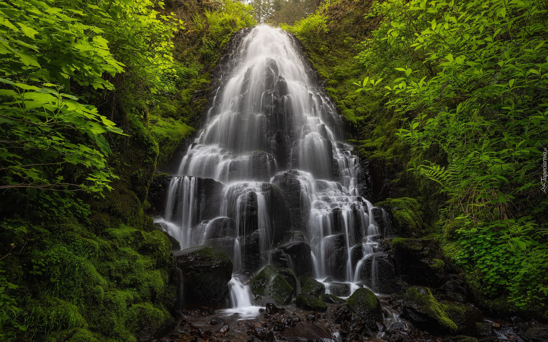 Las, Drzewa, Skała, Wodospad, Fairy Falls, Oregon, Stany Zjednoczone