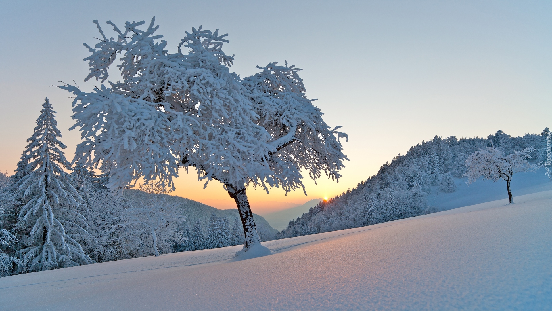 Zima, Drzewa, Wschód słońca, Wzgórza