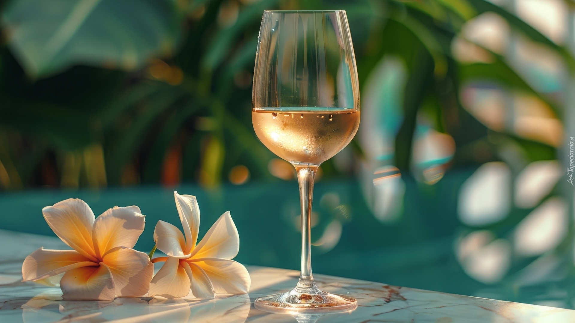 Kompozycja, Kieliszek, Wino, Kwiaty, Plumeria