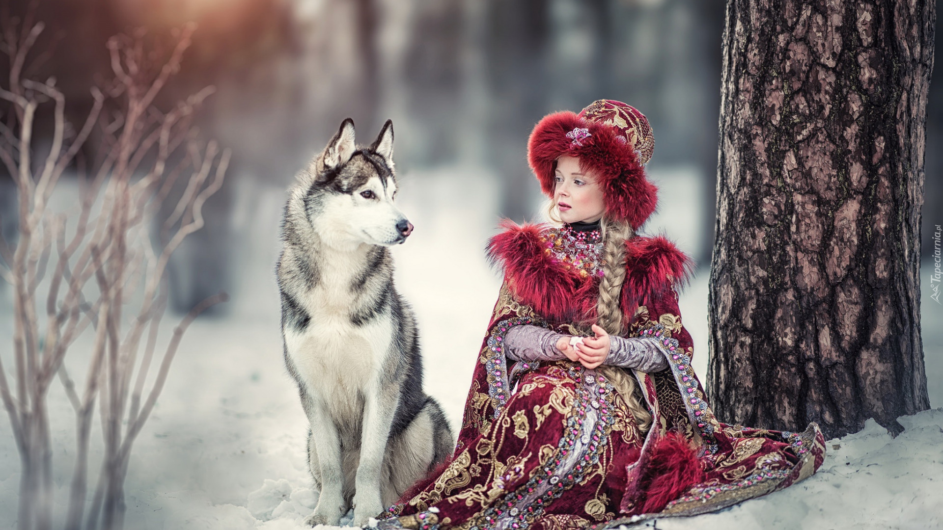 Pies, Dziewczynka, Zima, Drzewo, Siberian husky