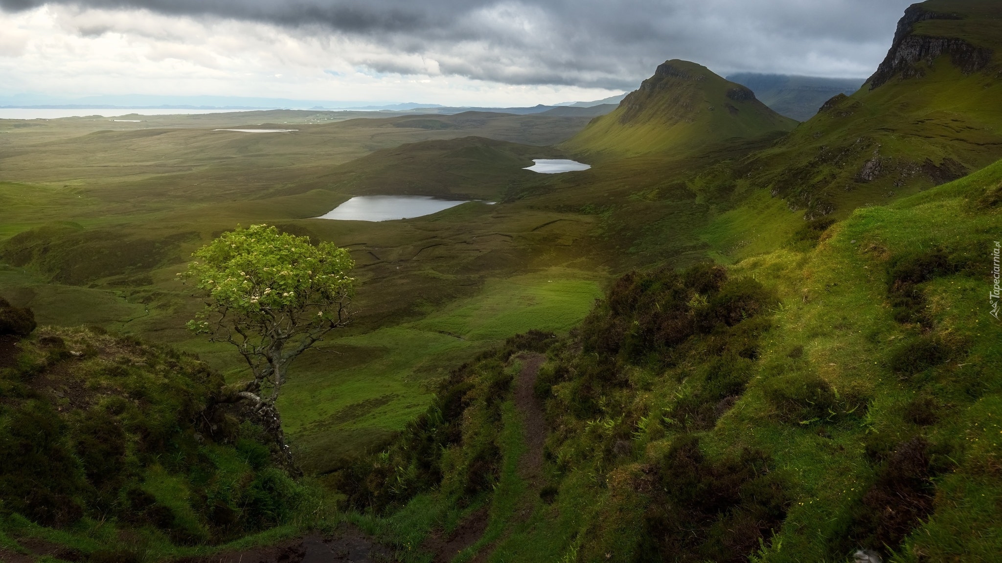 Wzgórza, Jeziora, Roślinność, Drzewo, Chmury, Wyspa Skye, Osuwisko, Quiraing, Szkocja
