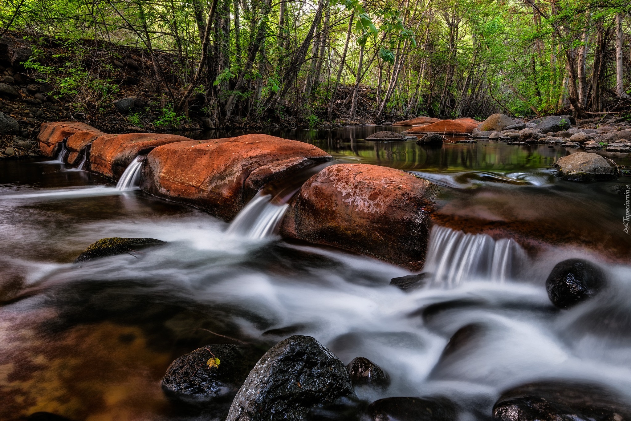 Stany Zjednoczone, Stan Arizona, Dolina Verde Valley, Beaver Creek, Rzeka, Głazy, Kamienie, Las, Drzewa