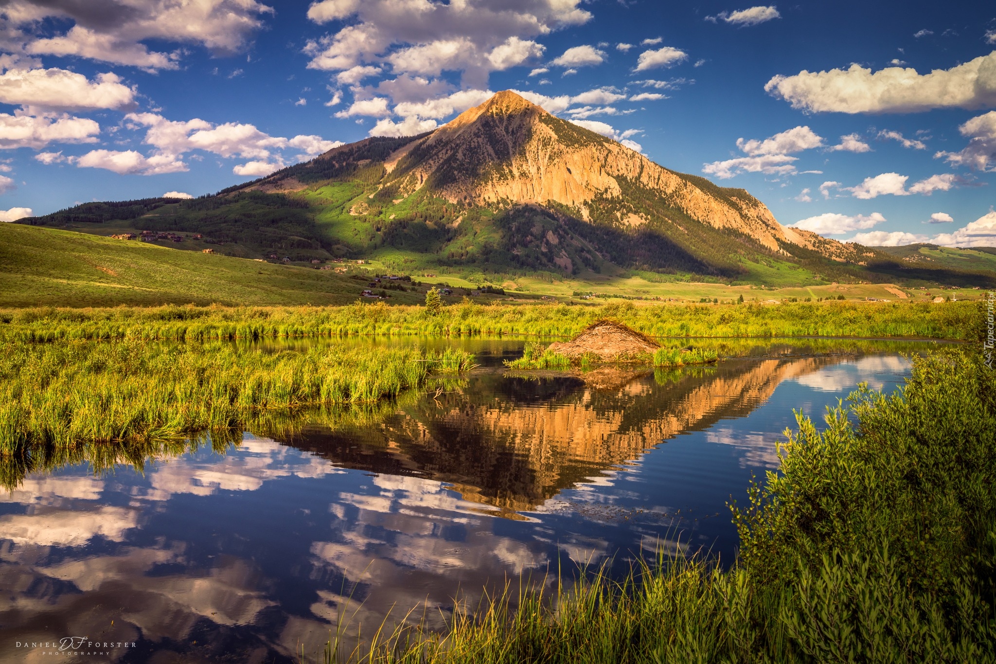 Stany Zjednoczone, Kolorado, Góra, Crested Butte Mountain, Rzeka, Krzewy, Trawa