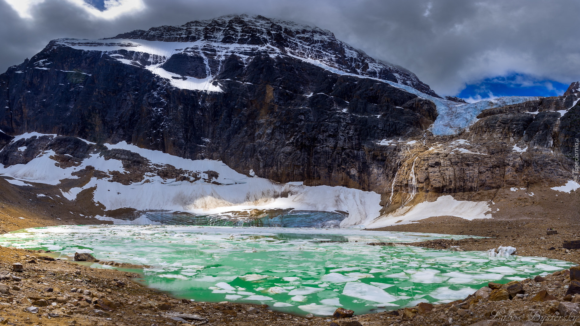 Góry, Góra, Mount Edith Cavell, Lodowiec, Angel Glacier, Jezioro, Kry, Park Narodowy Jasper, Alberta, Kanada