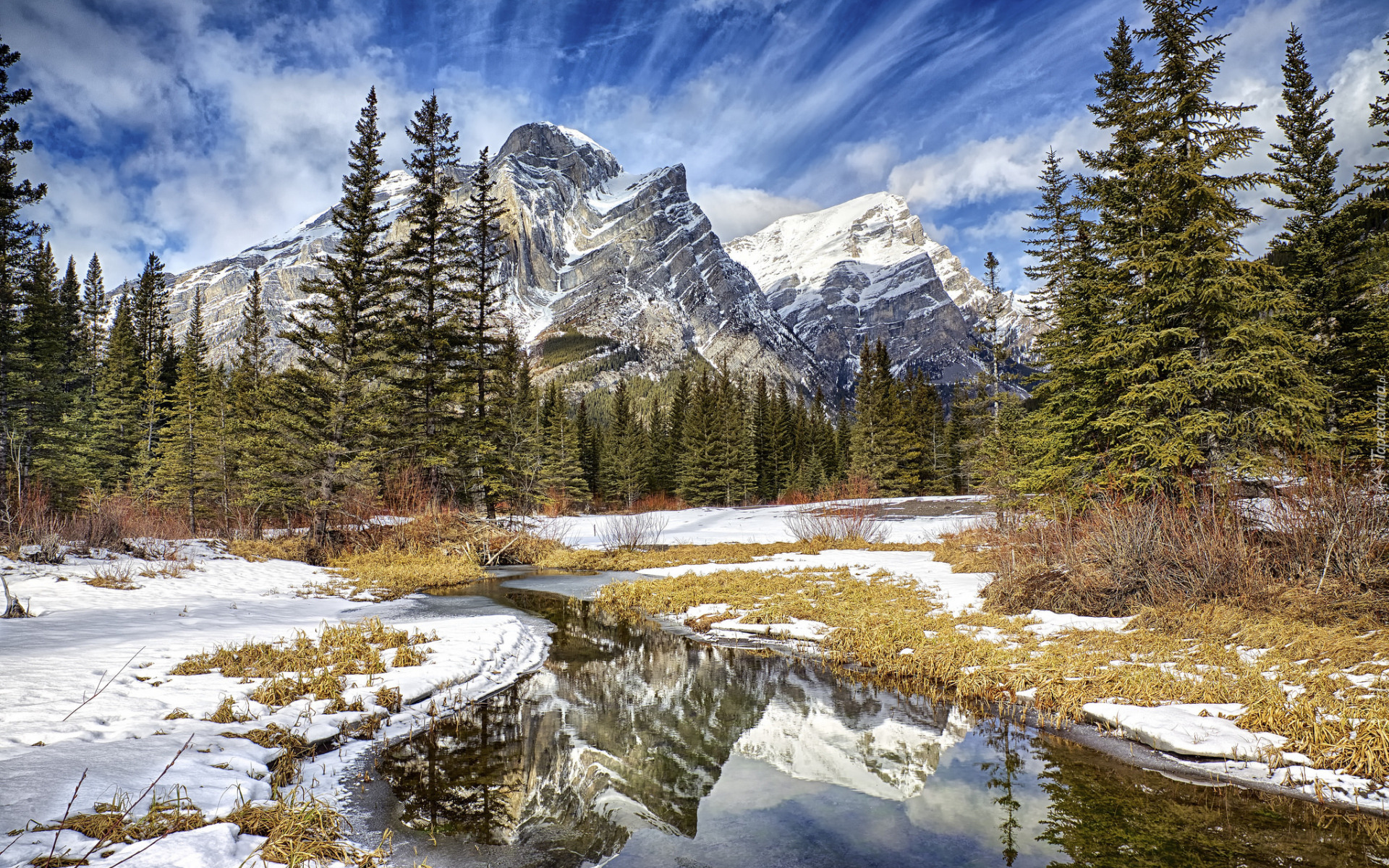 Zima, Góry, Canadian Rockies, Góra, Mount Kidd, Drzewa, Śnieg, Roztopy, Alberta, Kanada