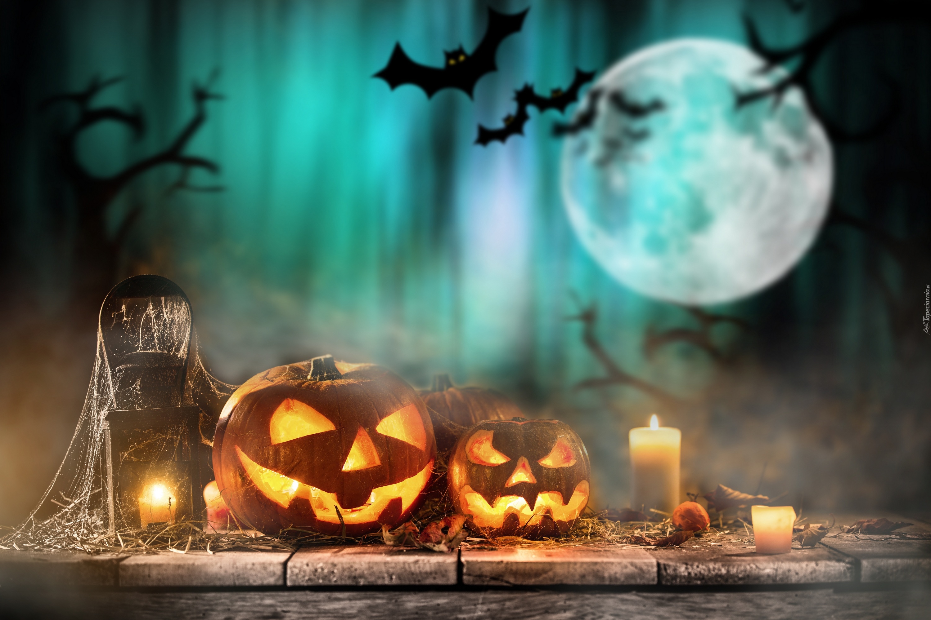 Halloween, Dynie, Świece, Nietoperze, Księżyc, Lampion
