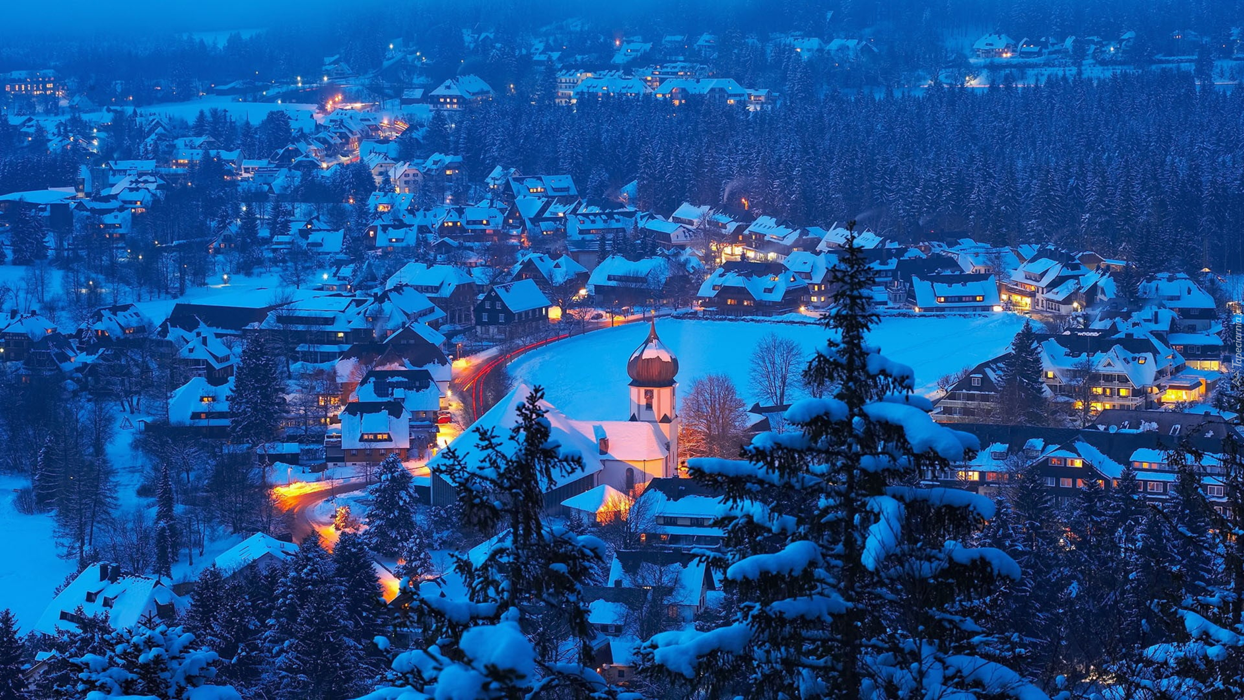 Zima, Śnieg, Domy, Drzewa, Hinterzarten, Badenia-Wirtembergia, Niemcy