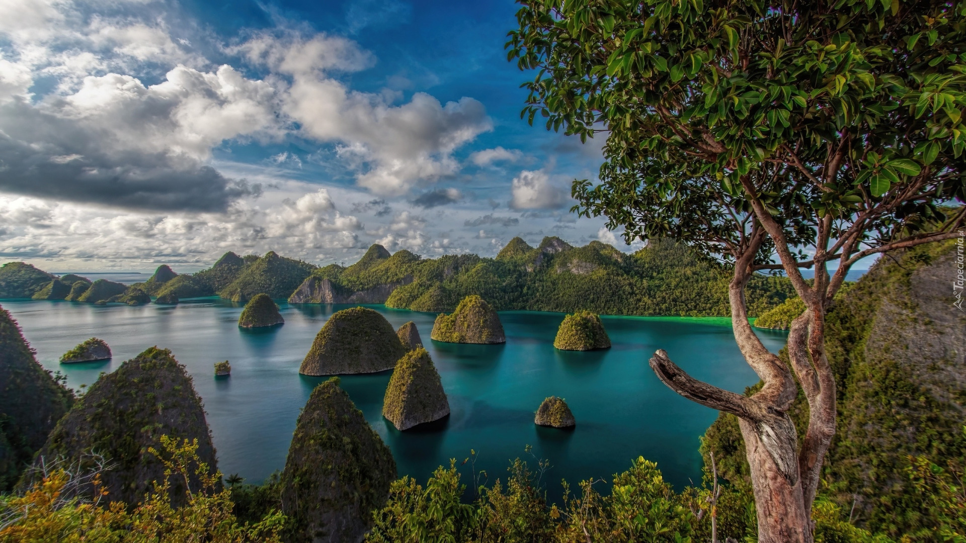 Indonezja, Wyspy, Raja Ampat, Drzewa, Morze, Chmury