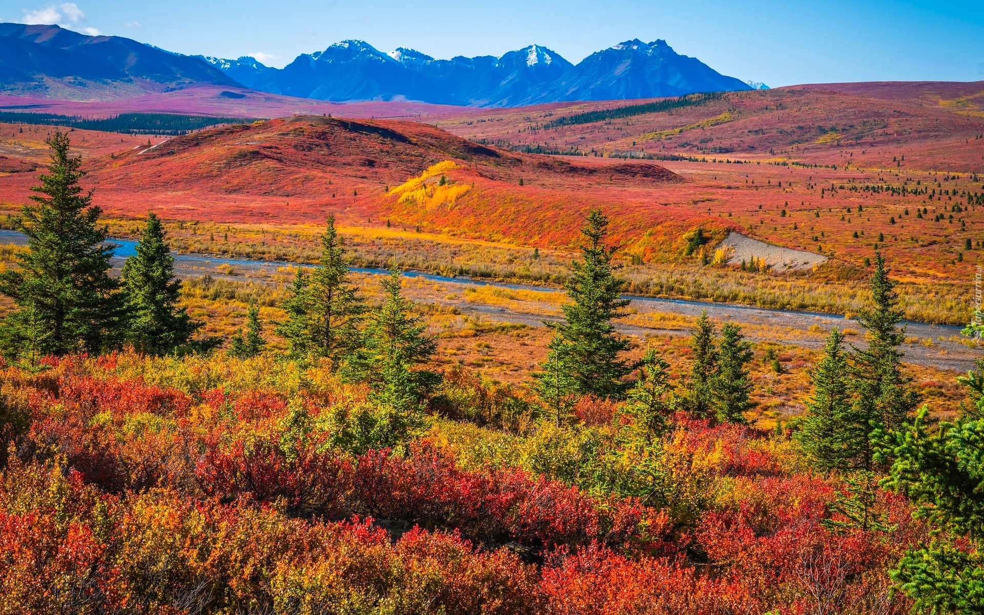 Stany Zjednoczone, Alaska, Park Narodowy Denali, Góry, Jesień, Drzewa, Droga