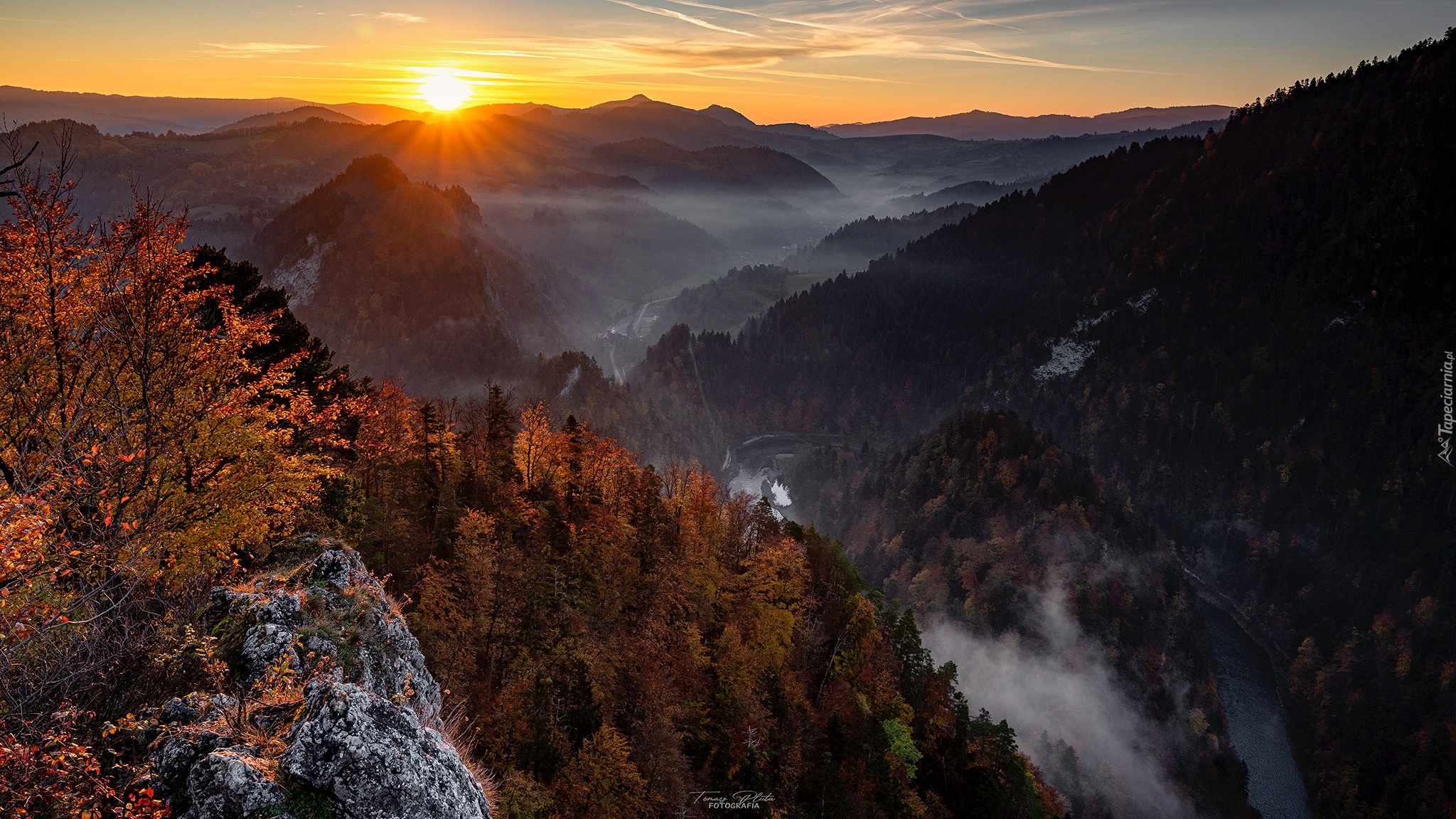 Polska, Góry, Pieniny, Szczyt, Sokolica, Skały, Jesień, Drzewa, Mgła, Wschód słońca