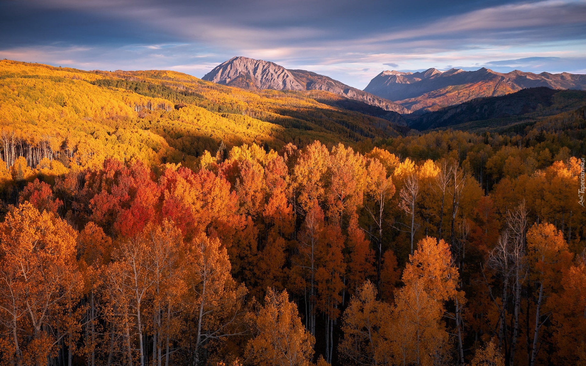 Góry, Jesień, Las, Drzewa, Kolorado, Stany Zjednoczone