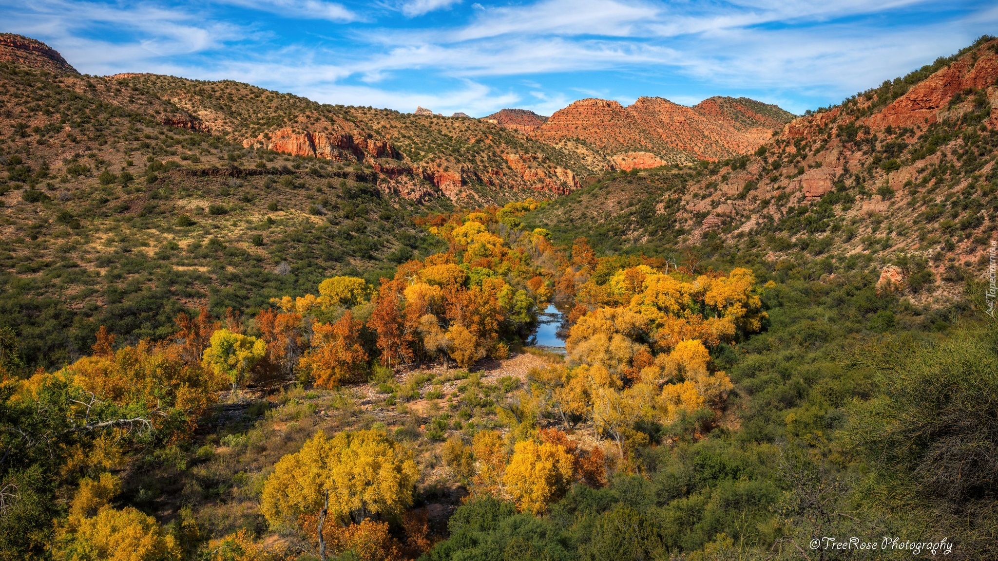 Jesień, Drzewa, Góry, Rzeka, Kanion Sycamore, Arizona, Stany Zjednoczone