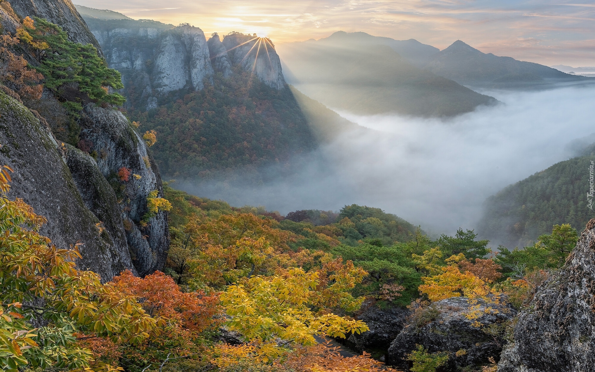 Korea Południowa, Park Narodowy Juwangsan, Góry, Jesień, Drzewa, Roślinność, Mgła, Promienie słońca