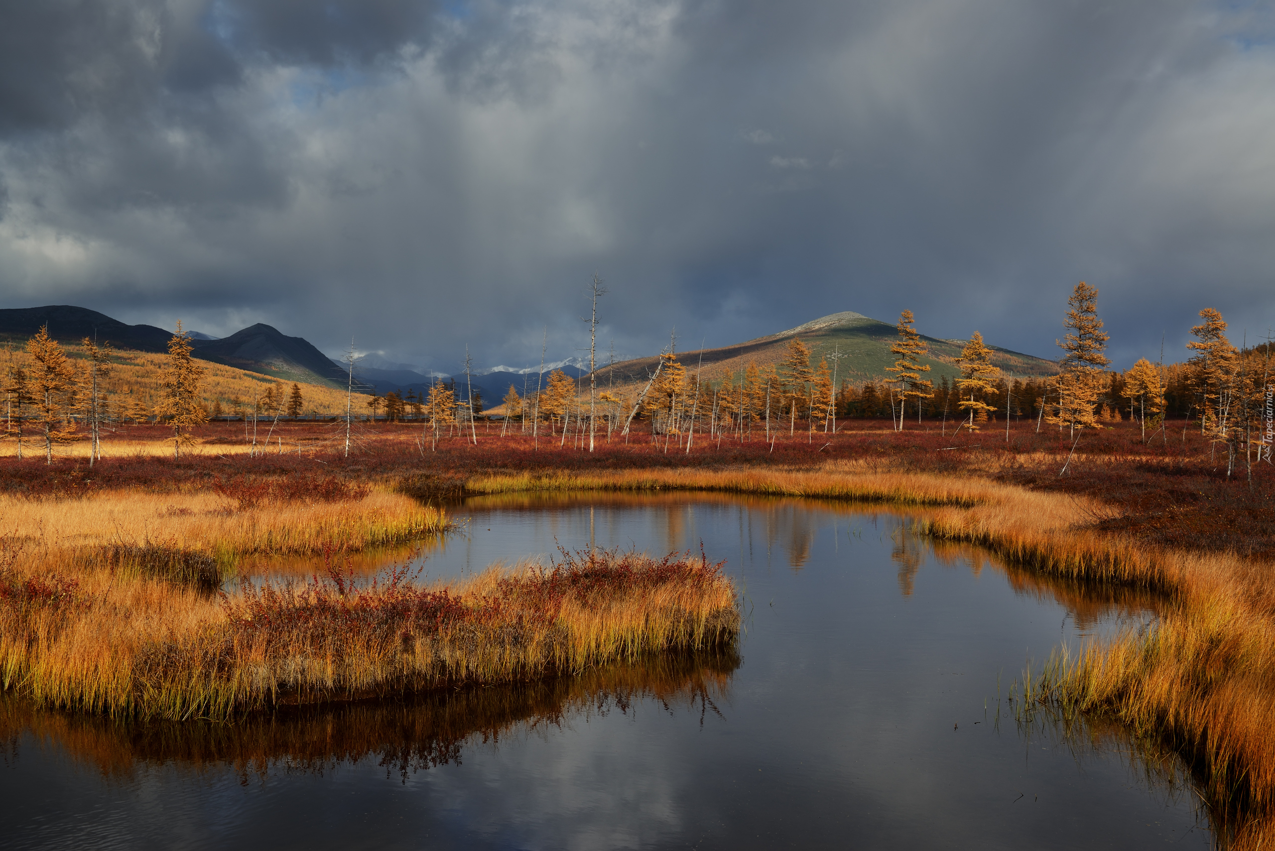 Jesień, Trawy, Drzewa, Jezioro, Chmury, Góry Kołymskie, Kołyma, Magadan, Rosja