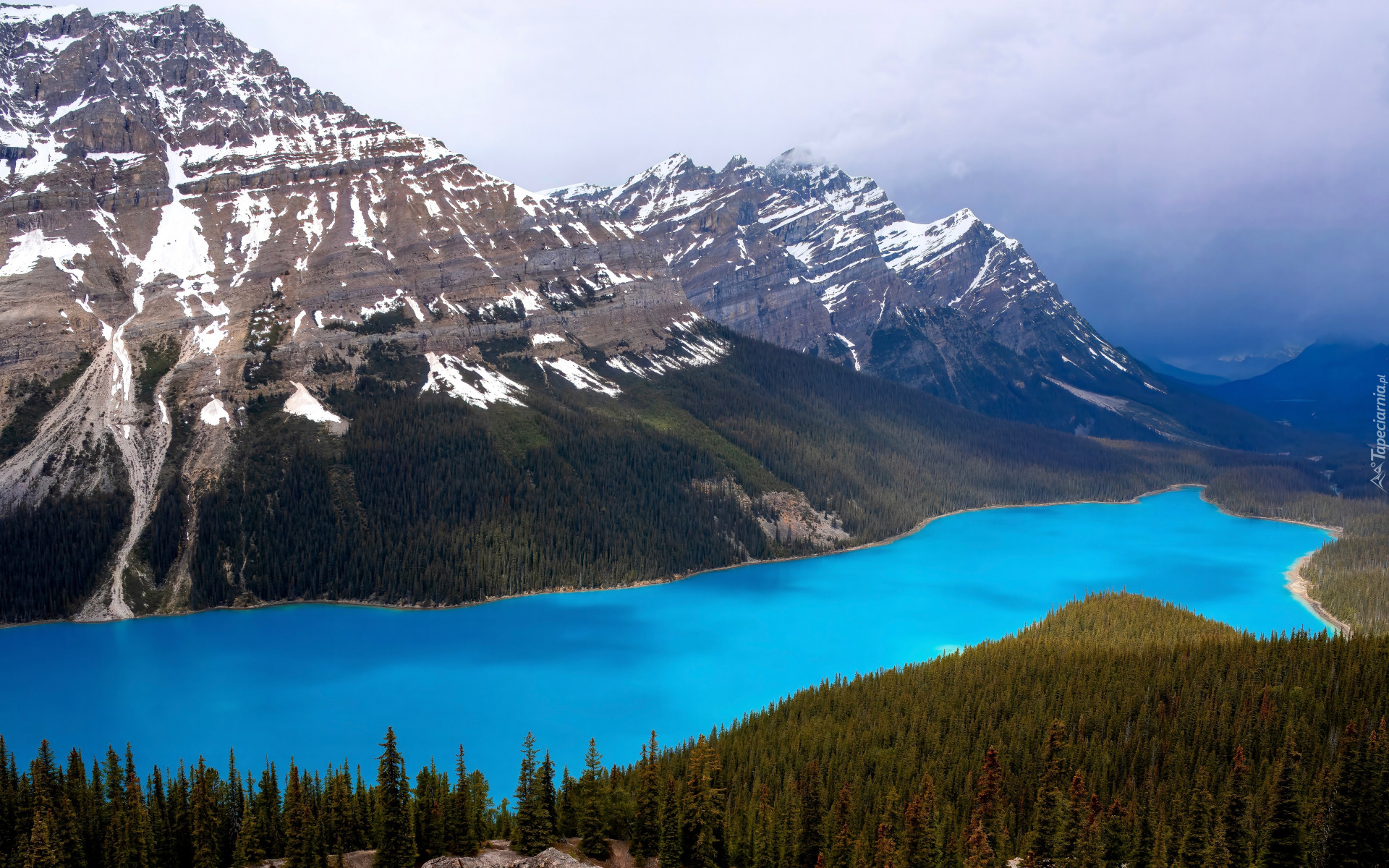 Park Narodowy Banff, Jezioro, Peyto Lake, Góry, Chmury, Prowincja Alberta, Kanada