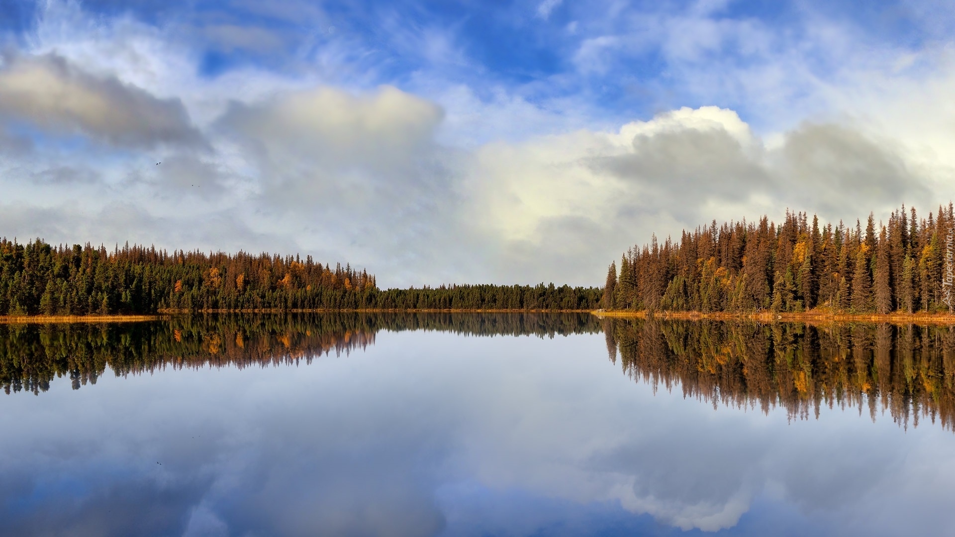 Jesień, Jezioro, Twelvemile Lake, Drzewa, Odbicie, Alaska, Stany Zjednoczone