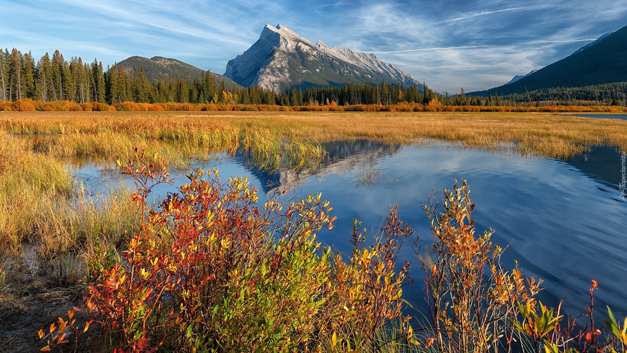 Kanada, Park Narodowy Banff, Góra, Mount Rundle, Jezioro, Vermilion Lake, Jesień, Drzewa