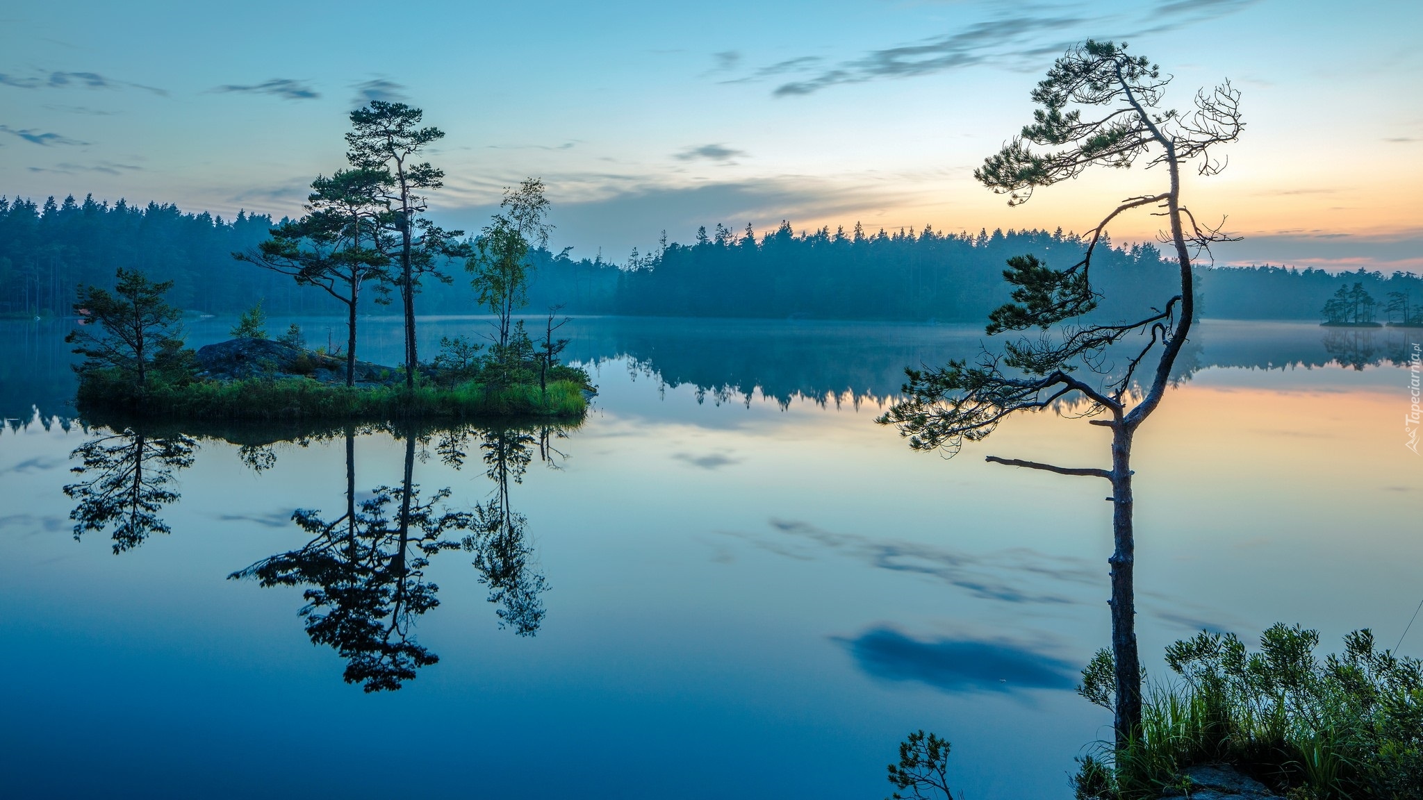 Wschód Słońca, Jezioro, Park Narodowy Tyresta, Szwecja, Wysepka, Drzewa