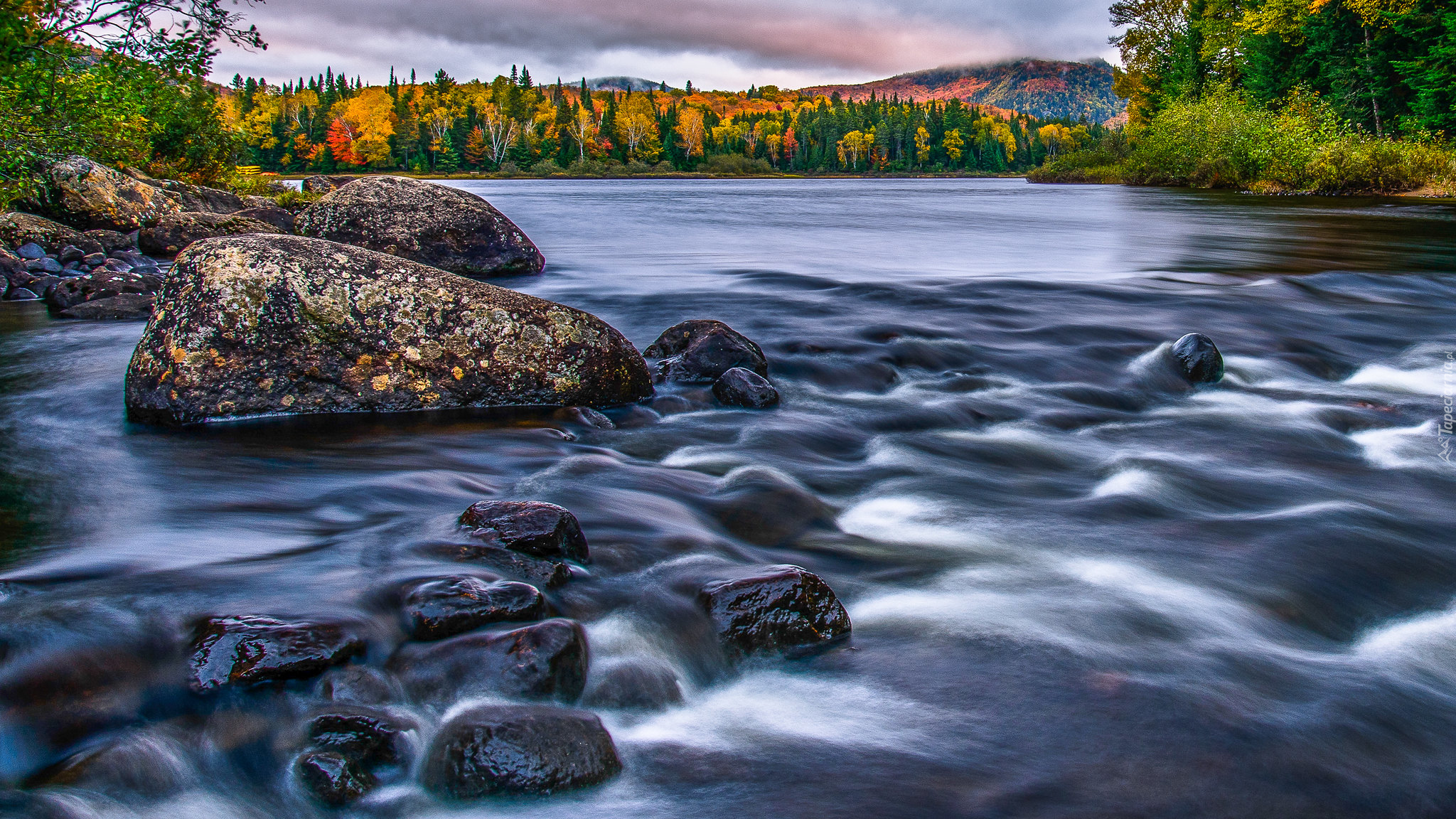 Rzeka, Du Diable River, Kamienie, Park Narodowy Mont Tremblant, Prowincja Quebec, Kanada