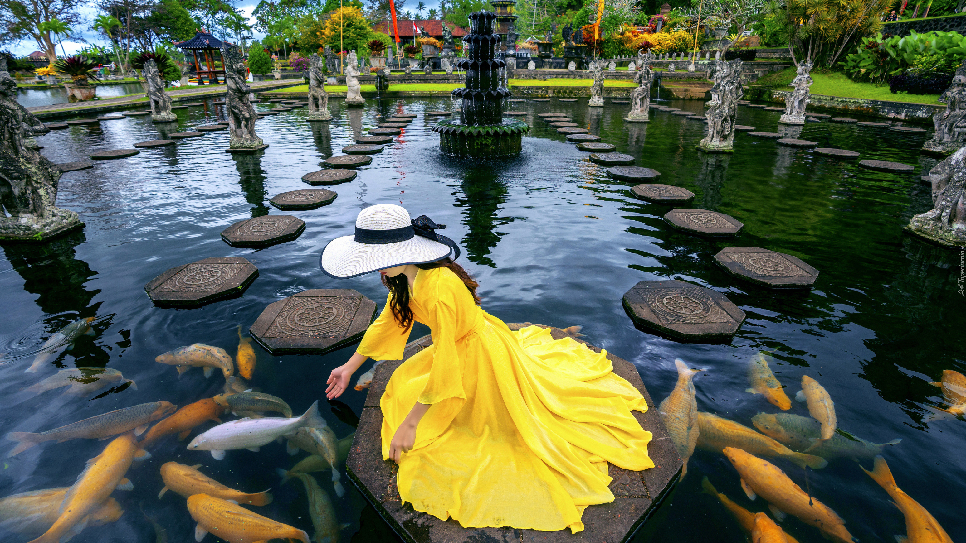 Kobieta, Kapelusz, Żółta, Sukienka, Ogród, Sadzawka, Kolorowe, Ryby, Hotel, Tirtagangga Water Palace Villas, Bali, Indonezja