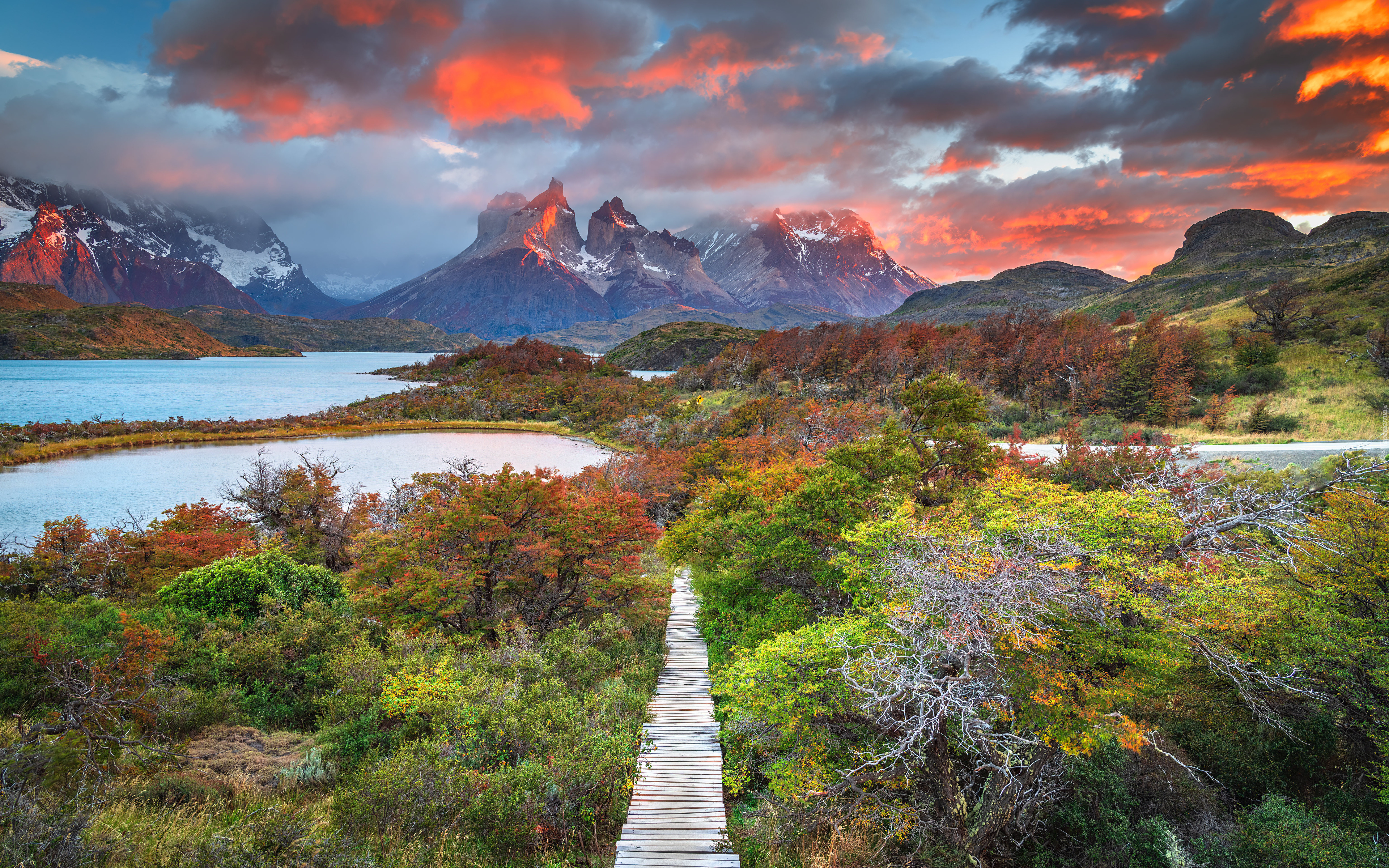 Chile, Park Narodowy Torres Del Paine, Góry, Torres del Paine, Kolorowe, Niebo, Jezioro, Ścieżka, Drzewa, Roślinność