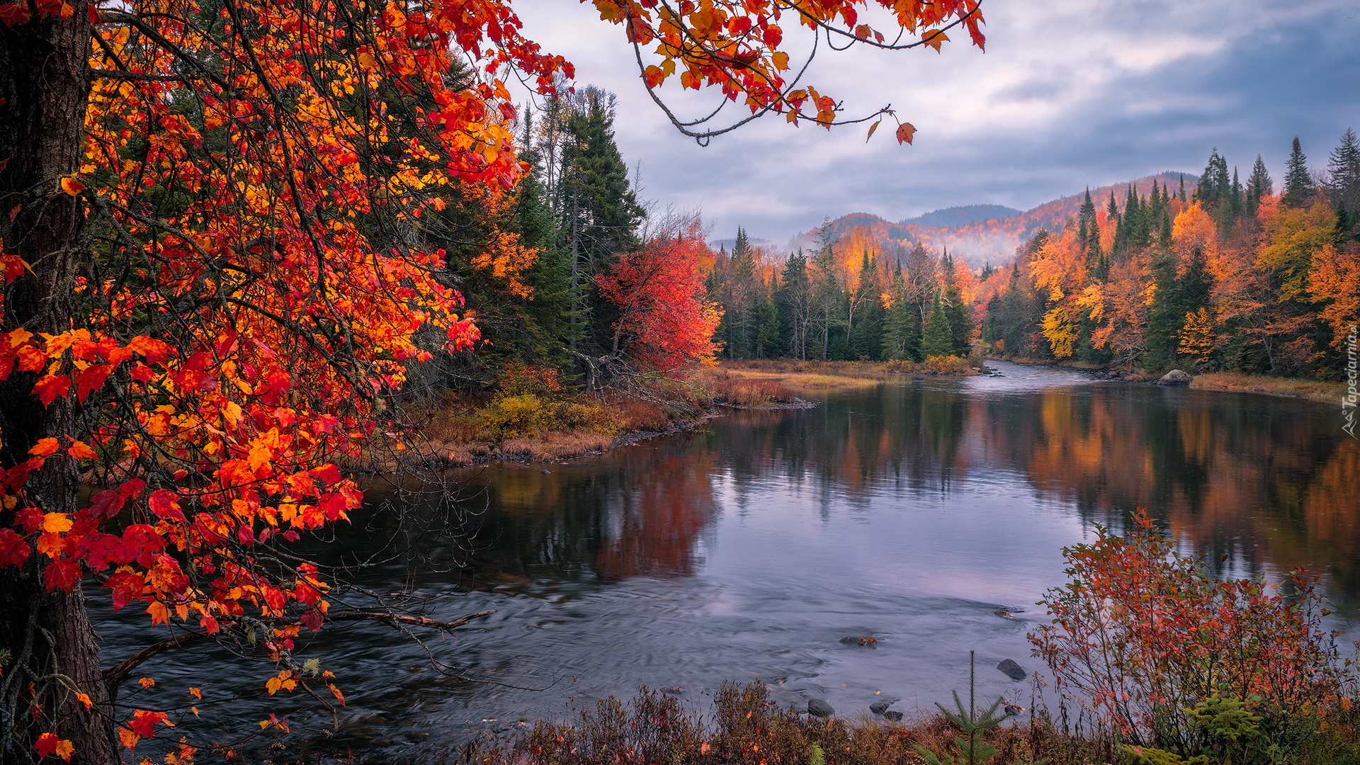 Jesień, Kolorowe, Drzewa, Las, Rzeka, Góry