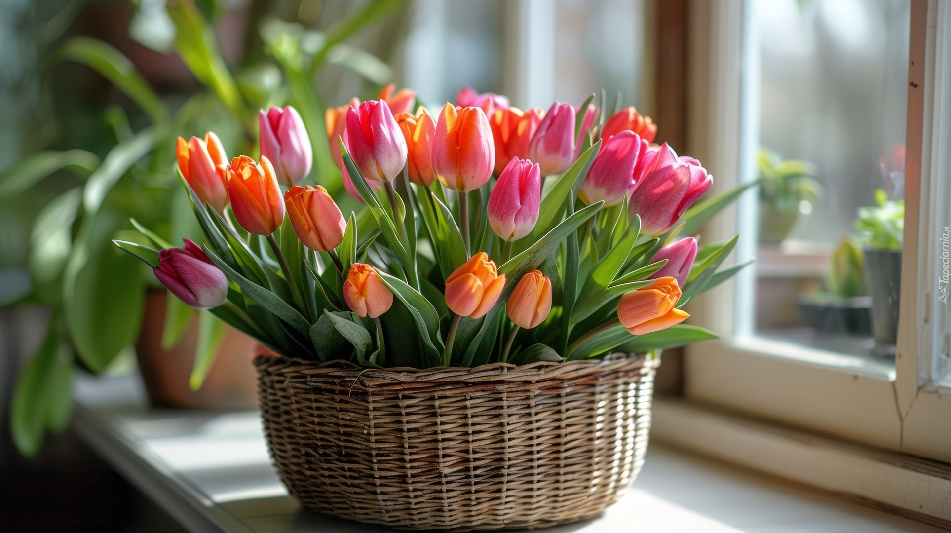 Bukiet, Kwiaty, Kolorowe, Tulipany, Koszyk Kwiat, Bukiet Kwiatów, Tulipan