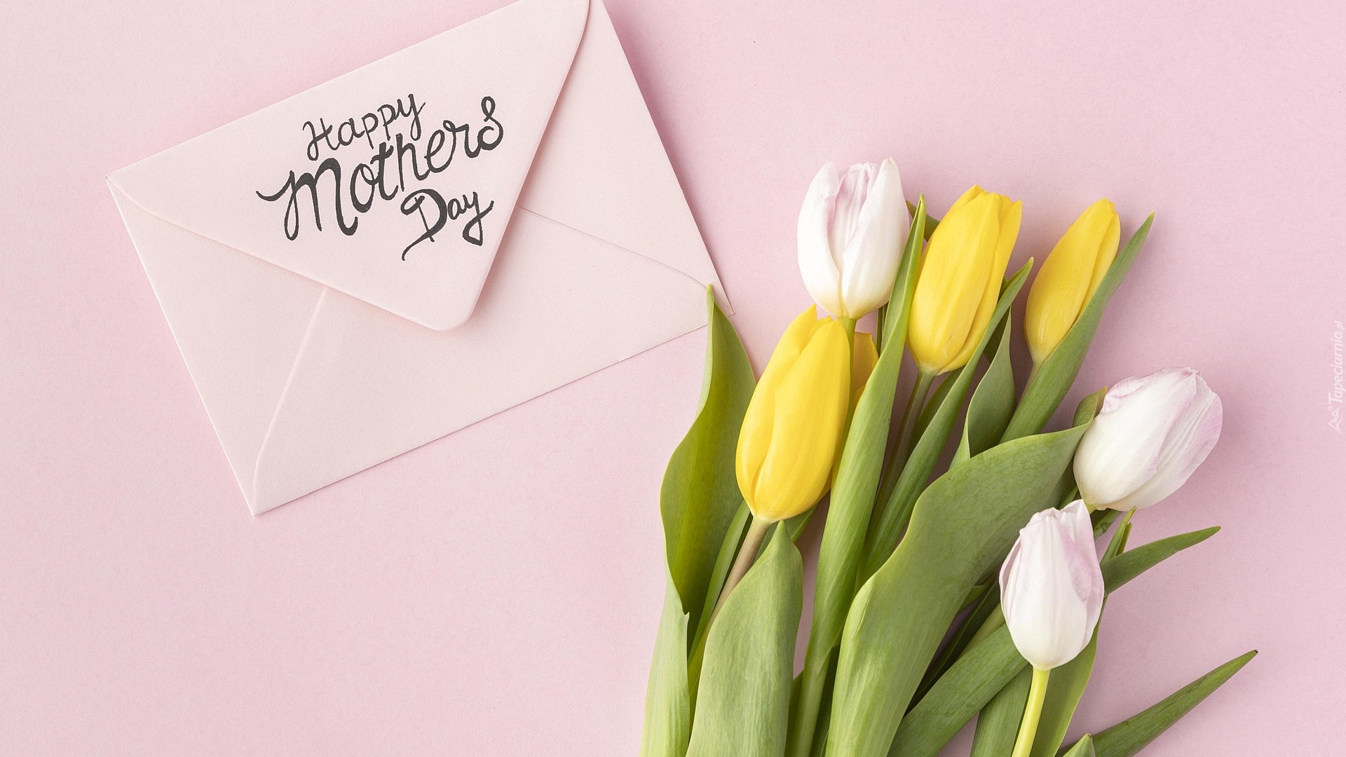 Dzień Matki, Koperta, Kwiaty, Tulipany, Różowe, Tło