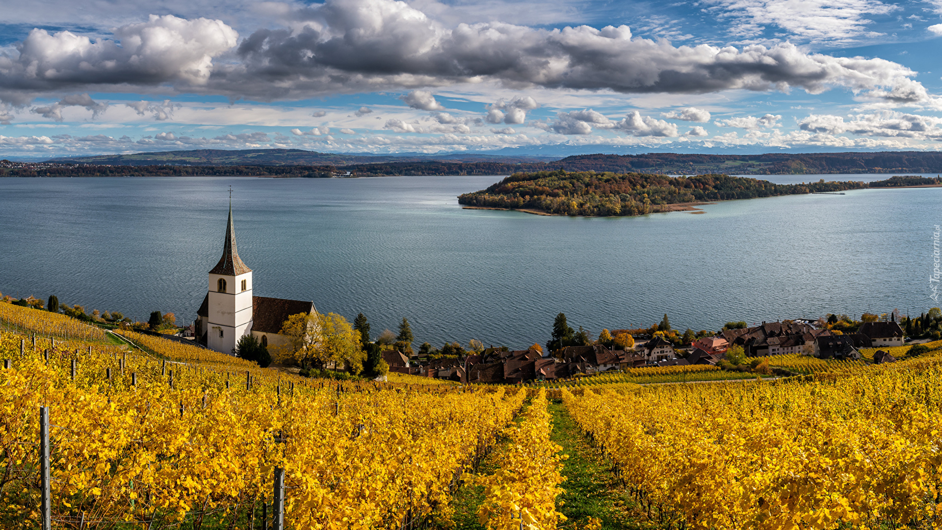 Szwajcaria, Kanton Berno, Gmina Ligerz, Jezioro, Bielersee, Kościół, Winnica