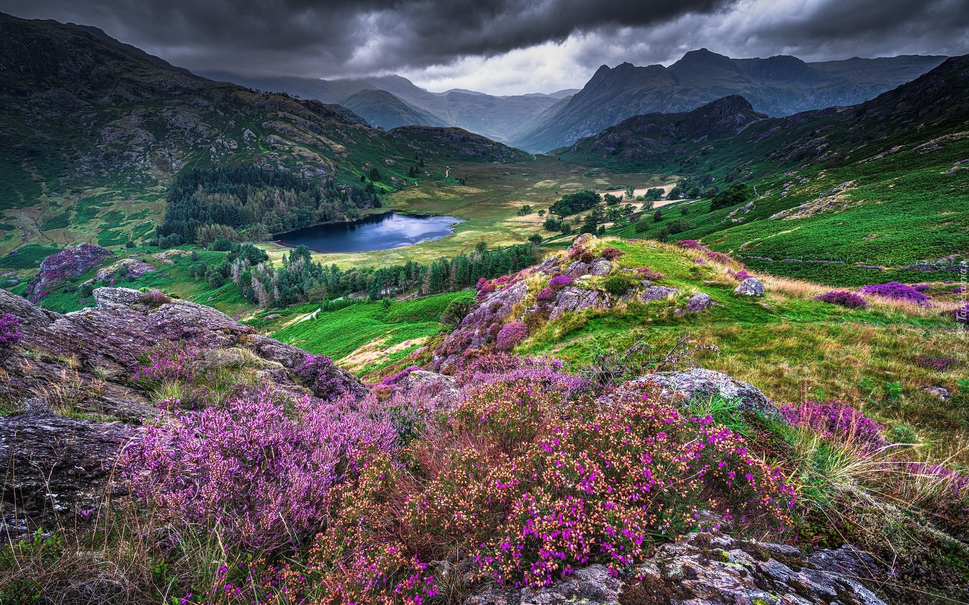 Anglia, Cumbria, Park Narodowy Lake District, Góry, Jezioro, Wrzosowisko, Chmury, Skały