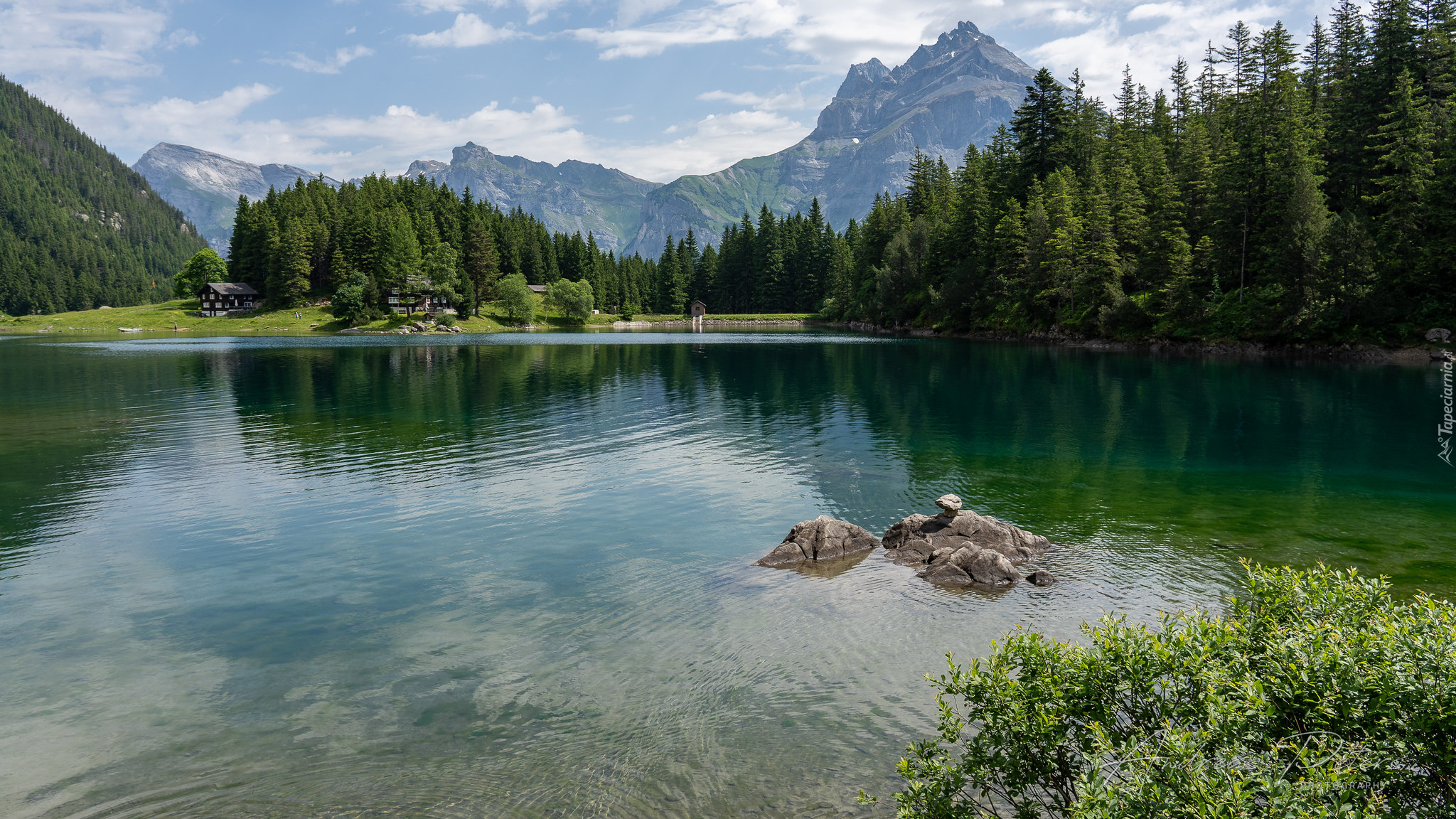 Zbiornik zaporowy, Jezioro, Arnisee, Góry, Drzewa, Las, Kanton Uri, Szwajcaria