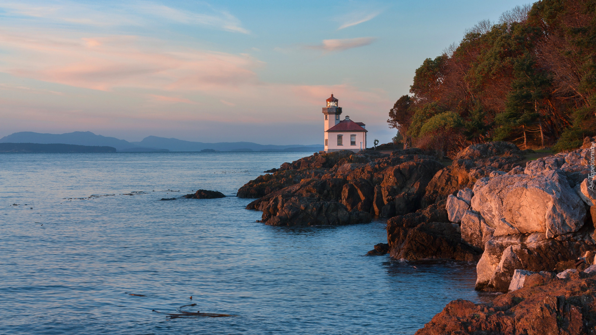 Morze, Brzeg, Skały, Latarnia morska, Drzewa, Niebo, Jesień, Lime Kiln Point State Park, Stan Waszyngton, Stany Zjednoczone