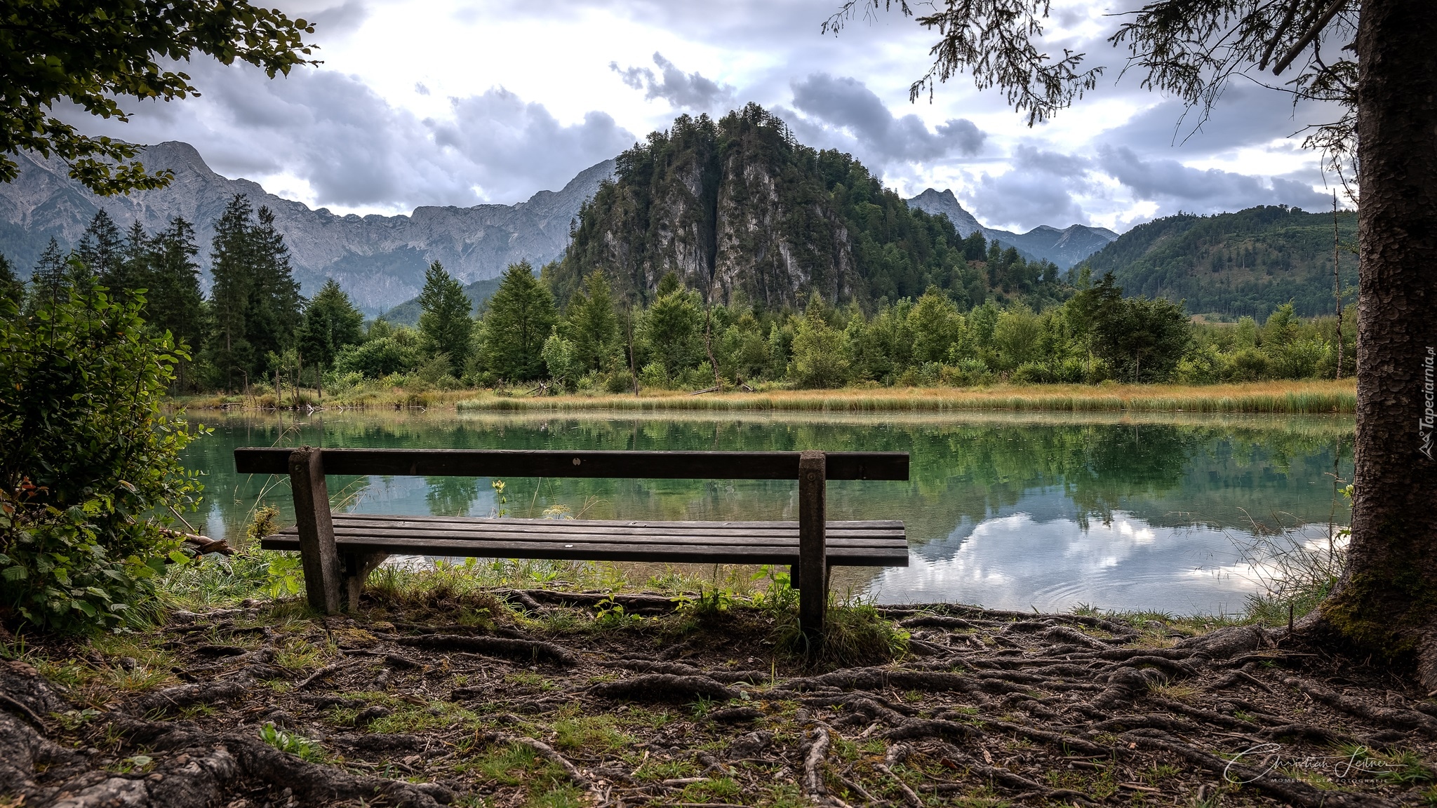 Austria, Góry, Jezioro, Almsee, Ławka, Drzewa