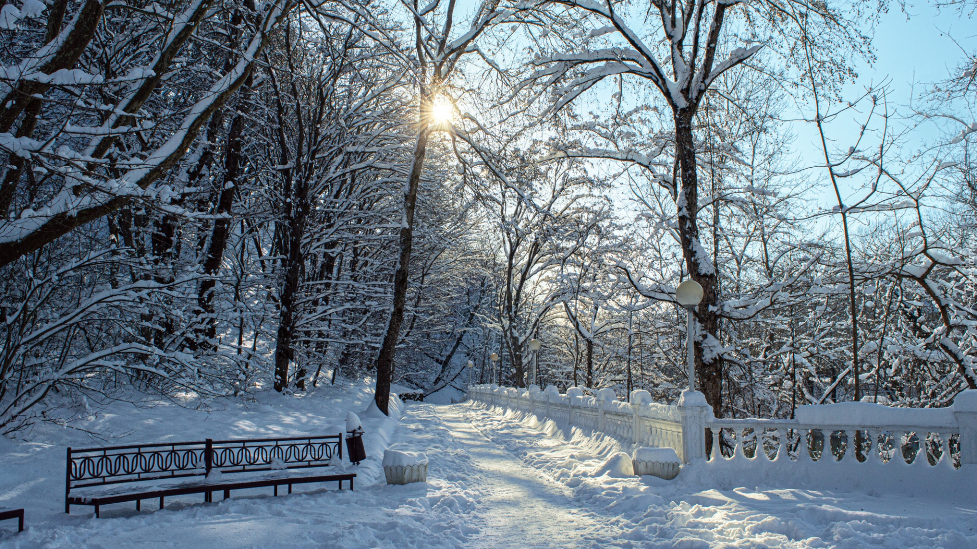 Zima, Park, Ławka, Śnieg, Ogrodzenie, Drzewa