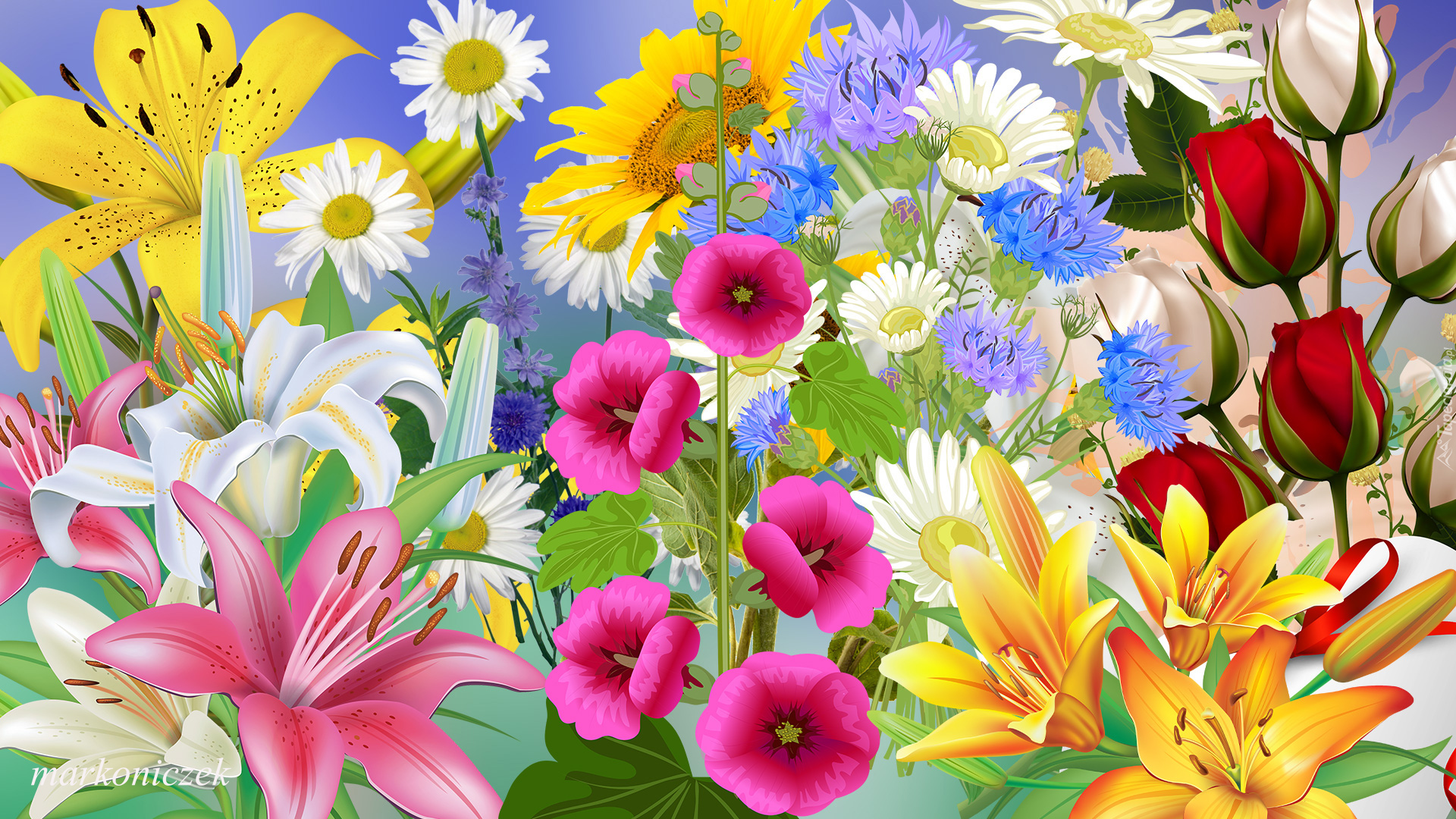 Kwiaty, Lilie, Róże, Malwy, 2D
