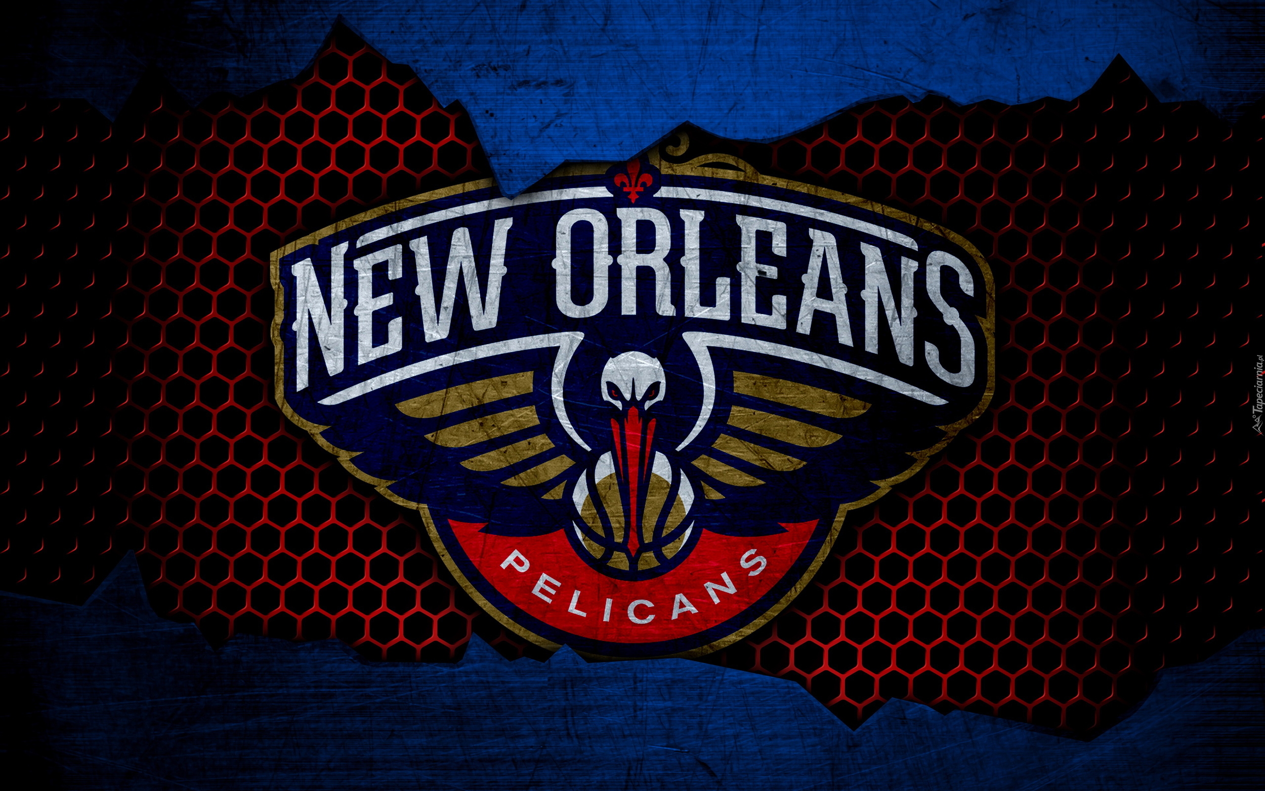 Logo, New Orleans Pelicans, Koszykówka