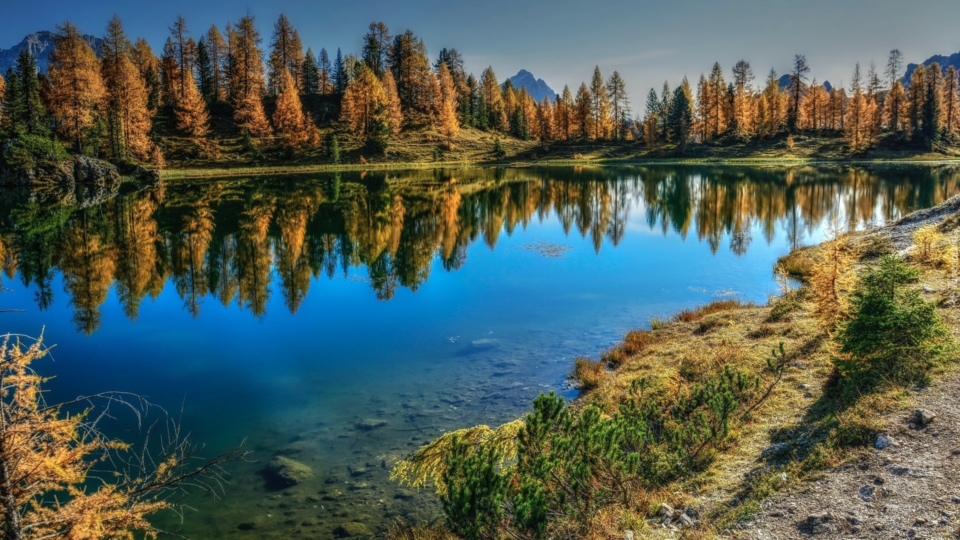 Jezioro, Lago Federa, Góry, Jesień, Drzewa, Żółte, Modrzewie, Włochy