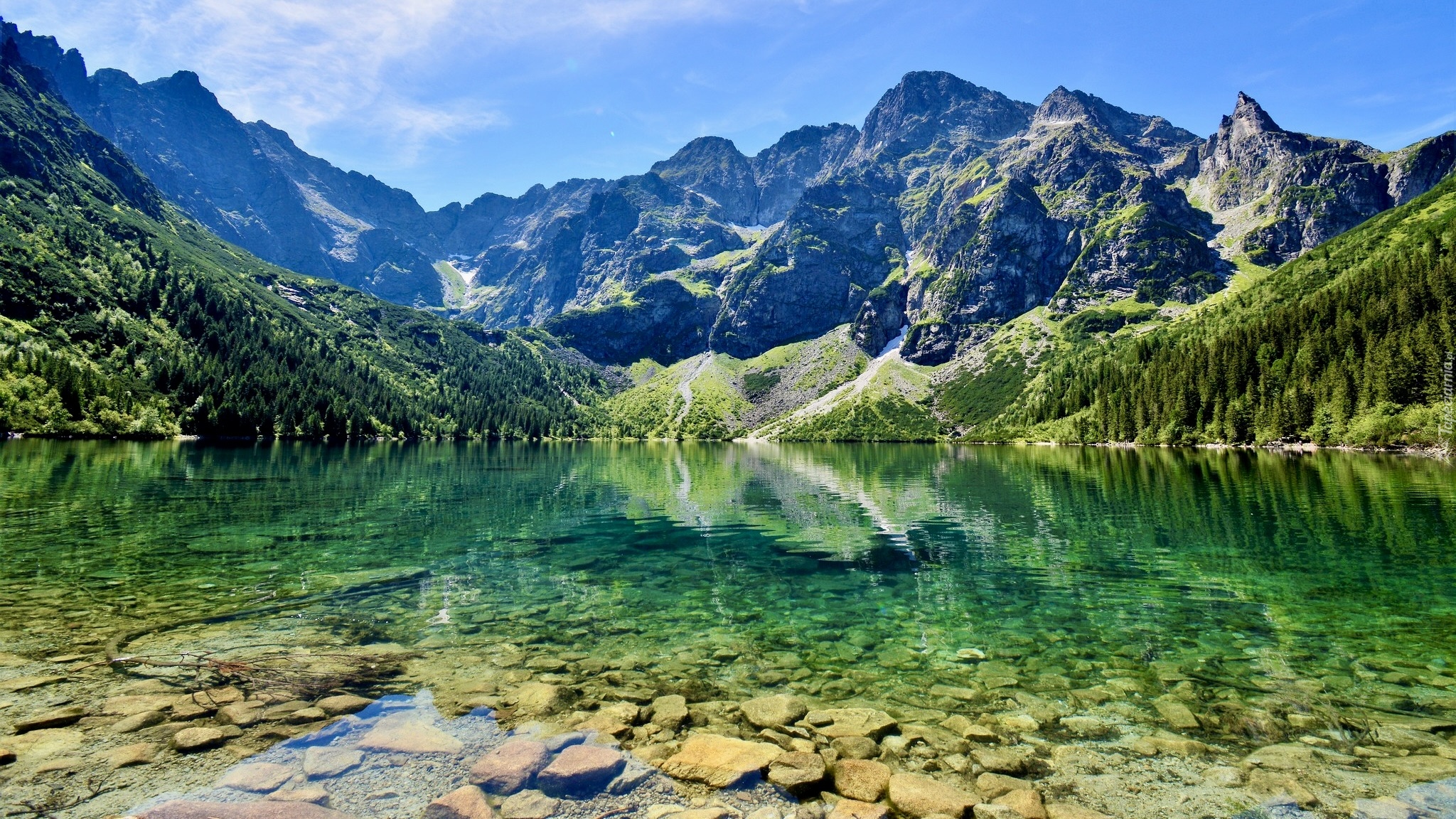 Polska, Góry, Tatry, Jezioro, Morskie Oko, Drzewa