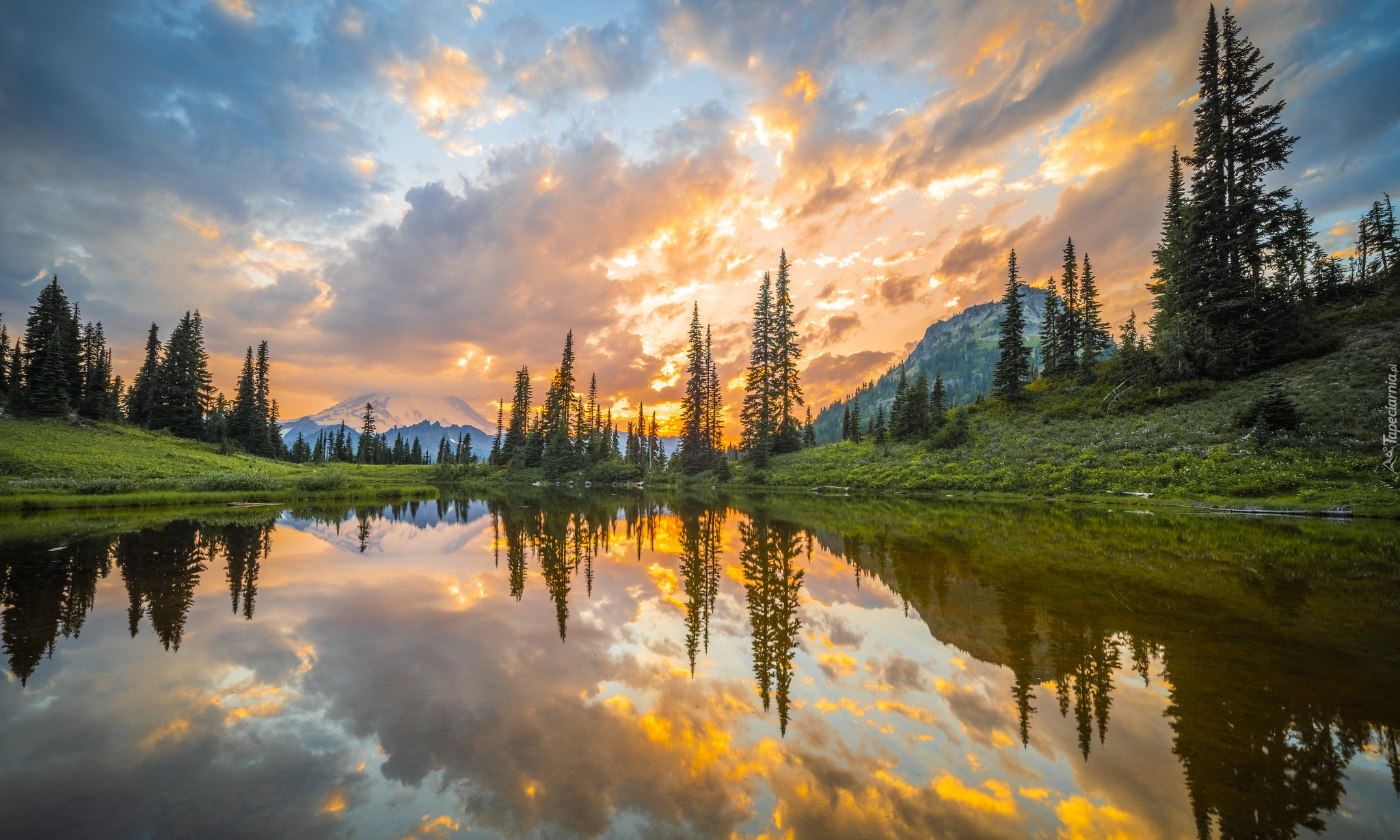Park Narodowy Mount Rainier, Góry, Jezioro, Tipsoo Lake, Drzewa, Stan Waszyngton, Stany Zjednoczone