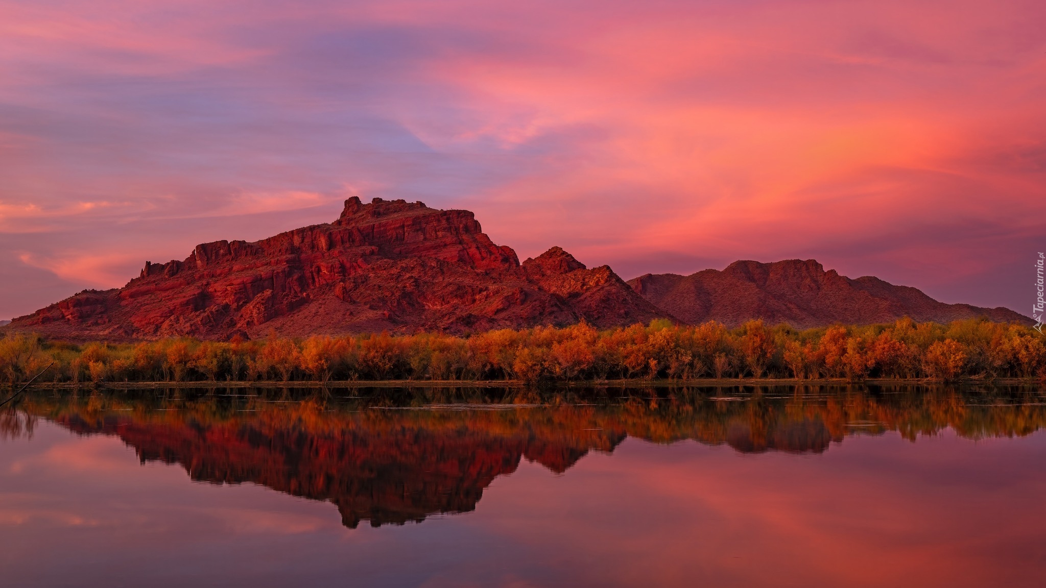 Stany Zjednoczone, Arizona, Góry, Goldfield Mountains, Rzeka, Salt River, Odbicie, Drzewa