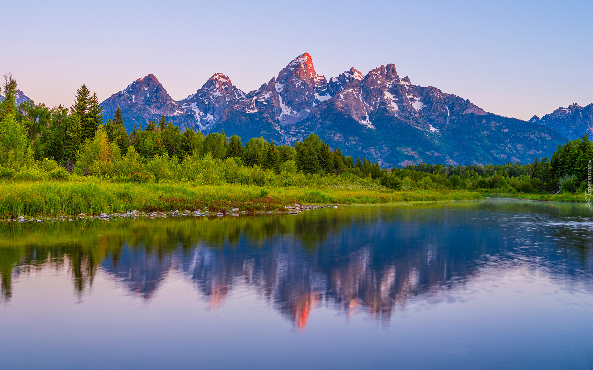 Stany Zjednoczone, Stan Wyoming, Park Narodowy Grand Teton, Góry, Rzeka Snake, Odbicie, Drzewa, Trawa