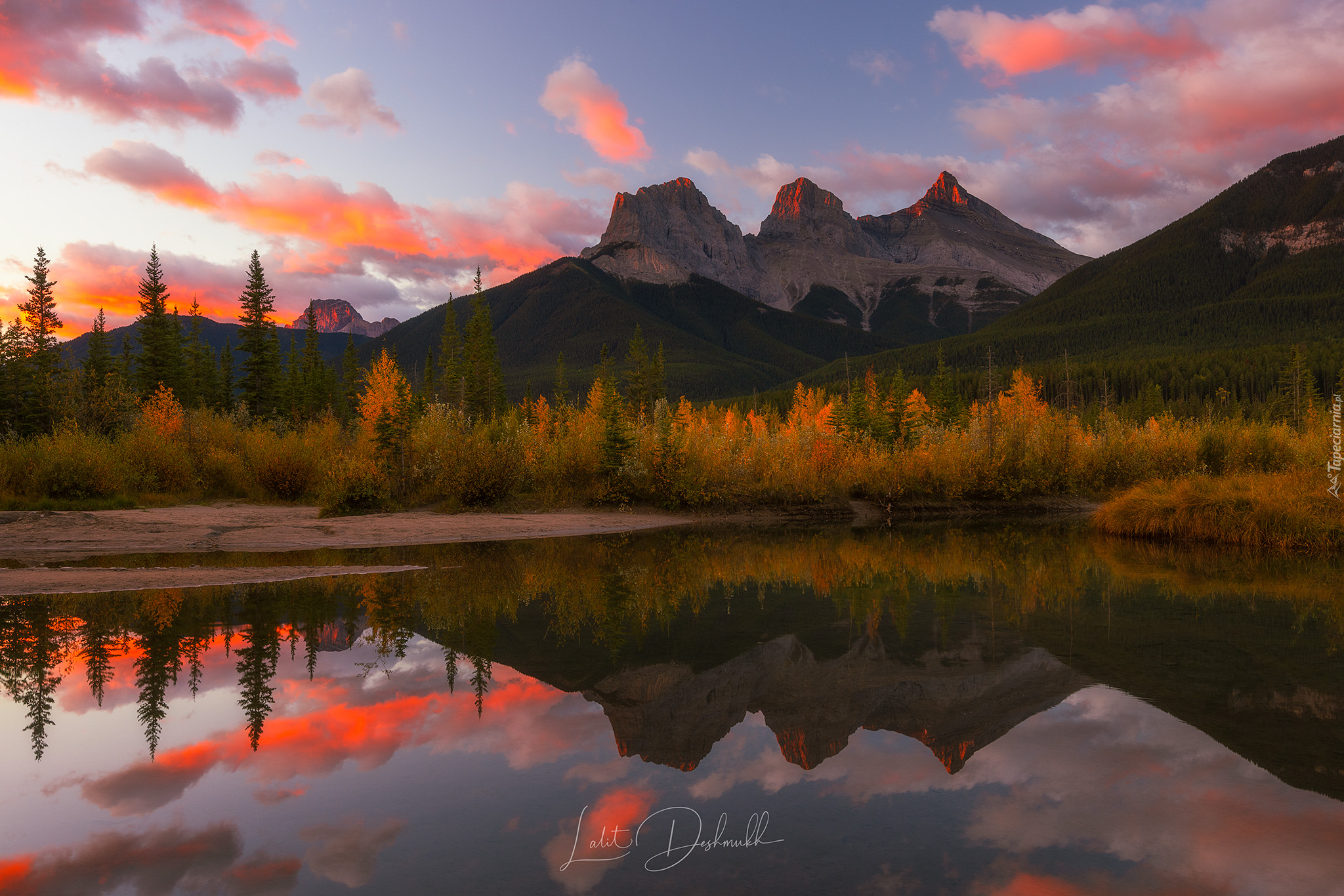 Kanada, Alberta, Kolumbia Brytyjska, Park Narodowy Banff, Kanadyjskie Góry Skaliste, Jezioro, Moraine Lake, Pożółkłe, Drzewa, Jesień, Wschód słońca