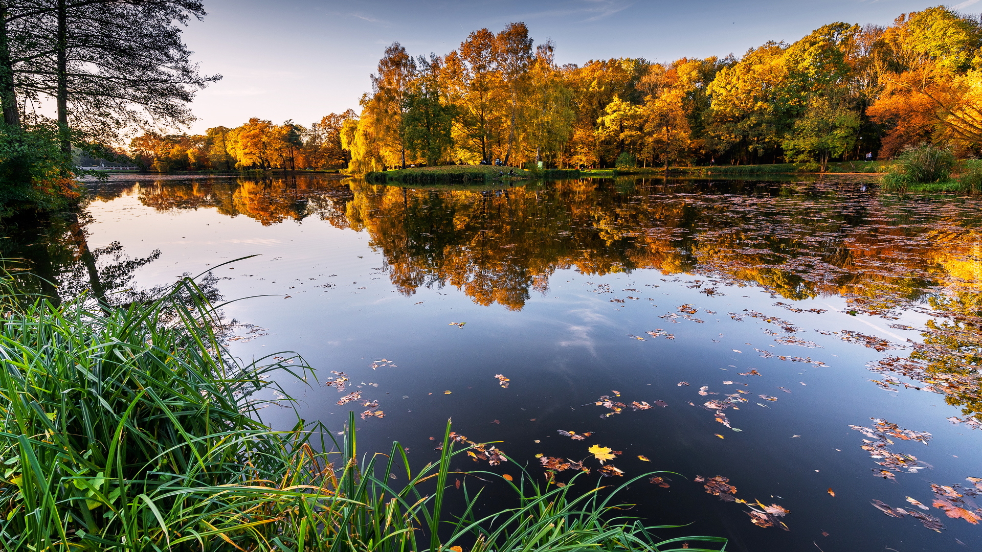 Jesień, Jezioro, Pożółkłe, Drzewa, Odbicie, Trawa