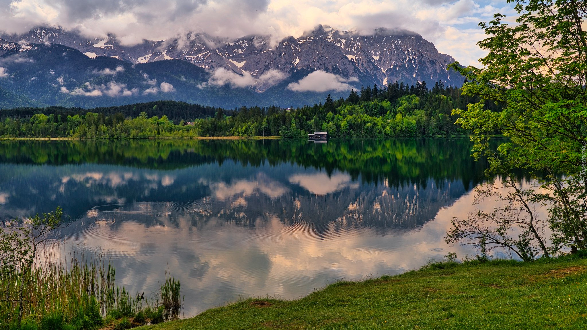 Jezioro Barmsee, Drzewa, Góry, Odbicie, Bawaria, Niemcy