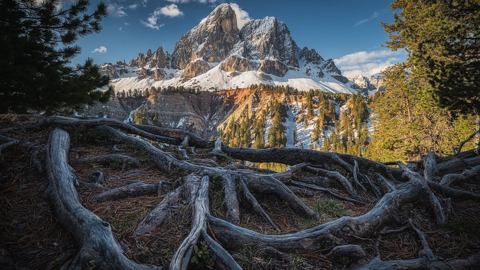 Góry, Góra Peitlerkofel, Drzewa, Przełęcz, Passo delle Erbe, Włochy