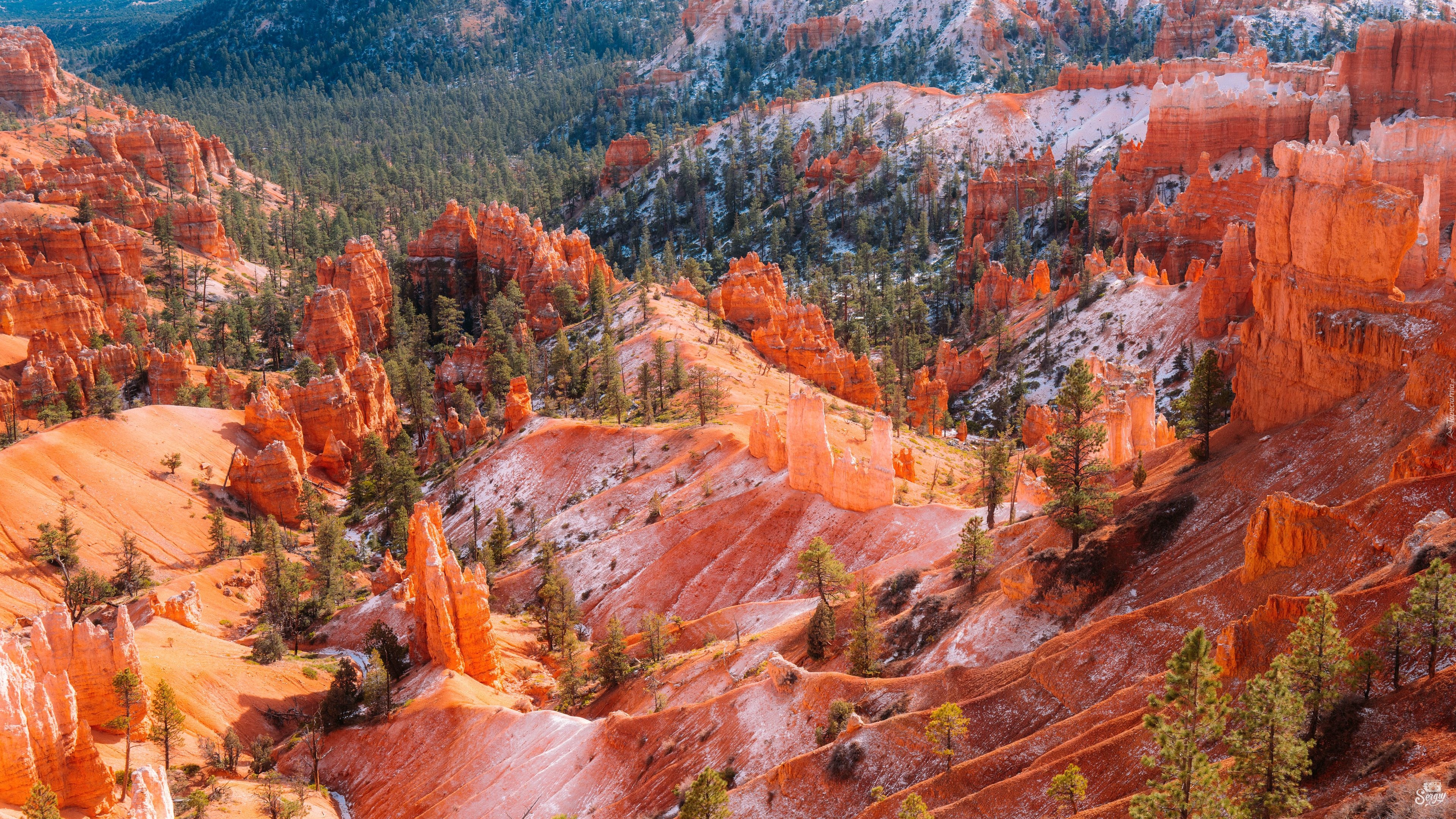 Skały, Park Narodowy Bryce Canyon, Stan Utah, Stany Zjednoczone