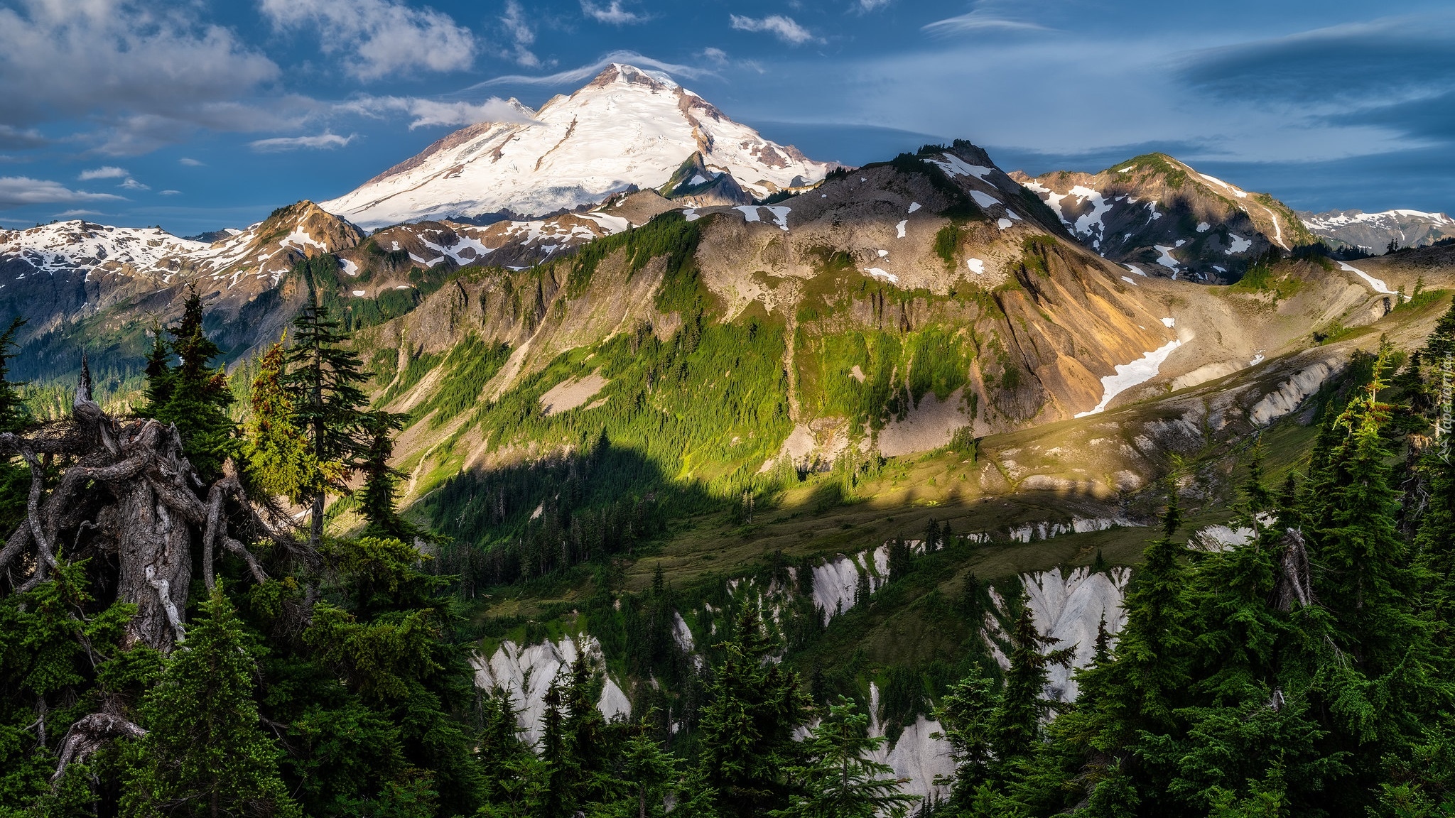 Góry Kaskadowe, Szczyt, Mount Baker, Drzewa, Stan Waszyngton, Stany Zjednoczone